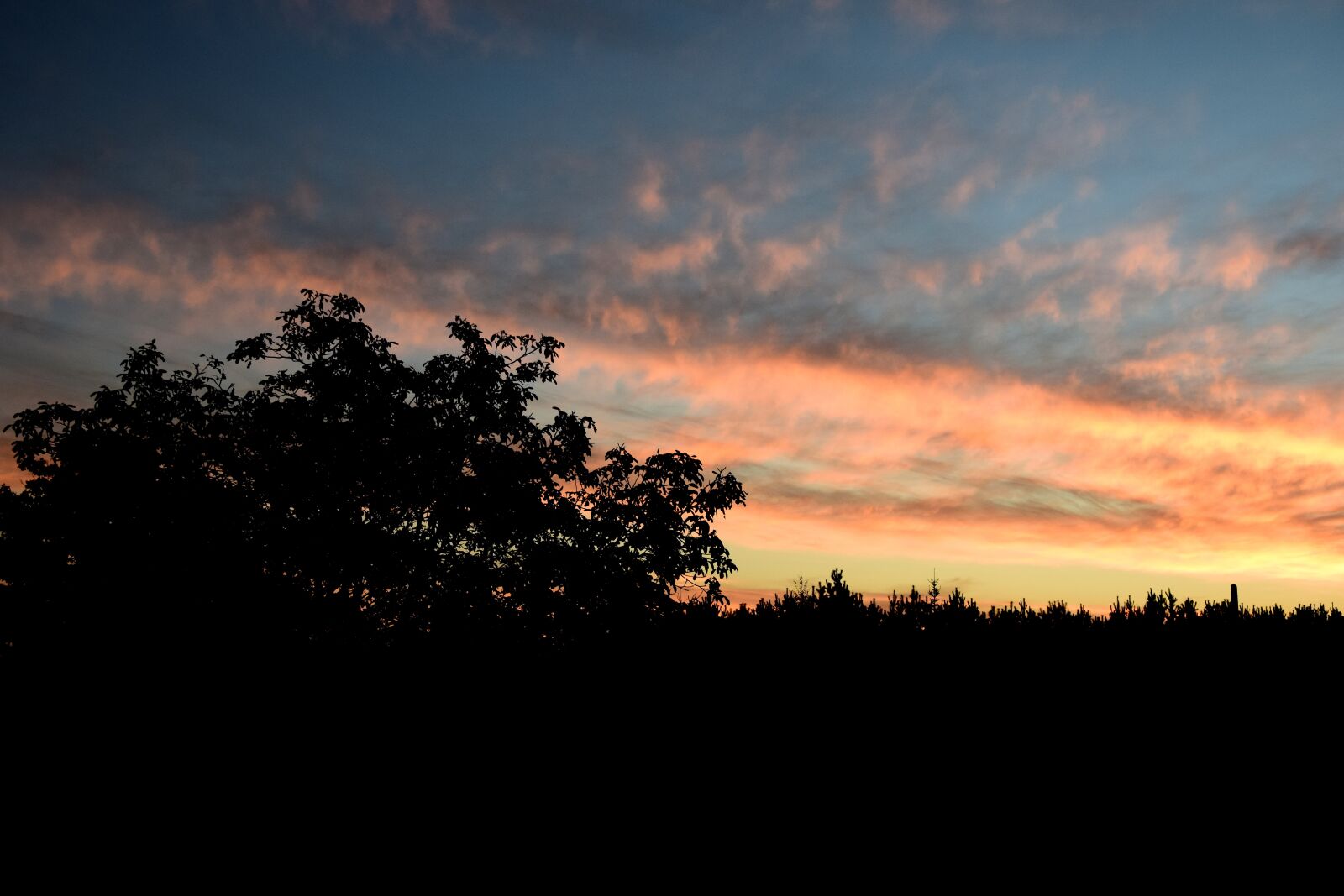 Nikon D5300 sample photo. Sunrise, sunlight, morning photography