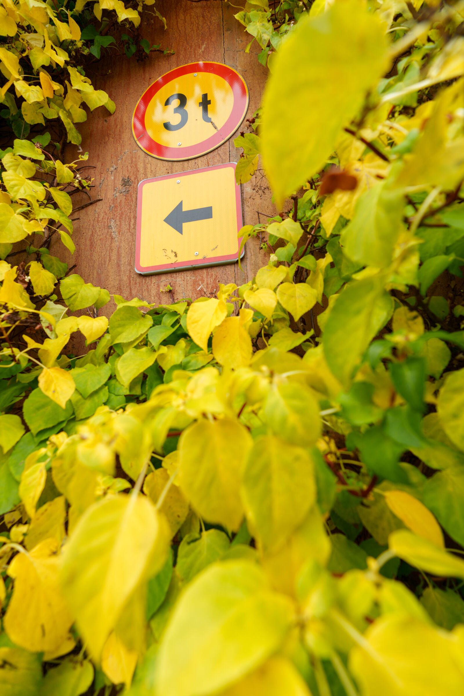 Sony a7R V sample photo. Wideangle sign photography