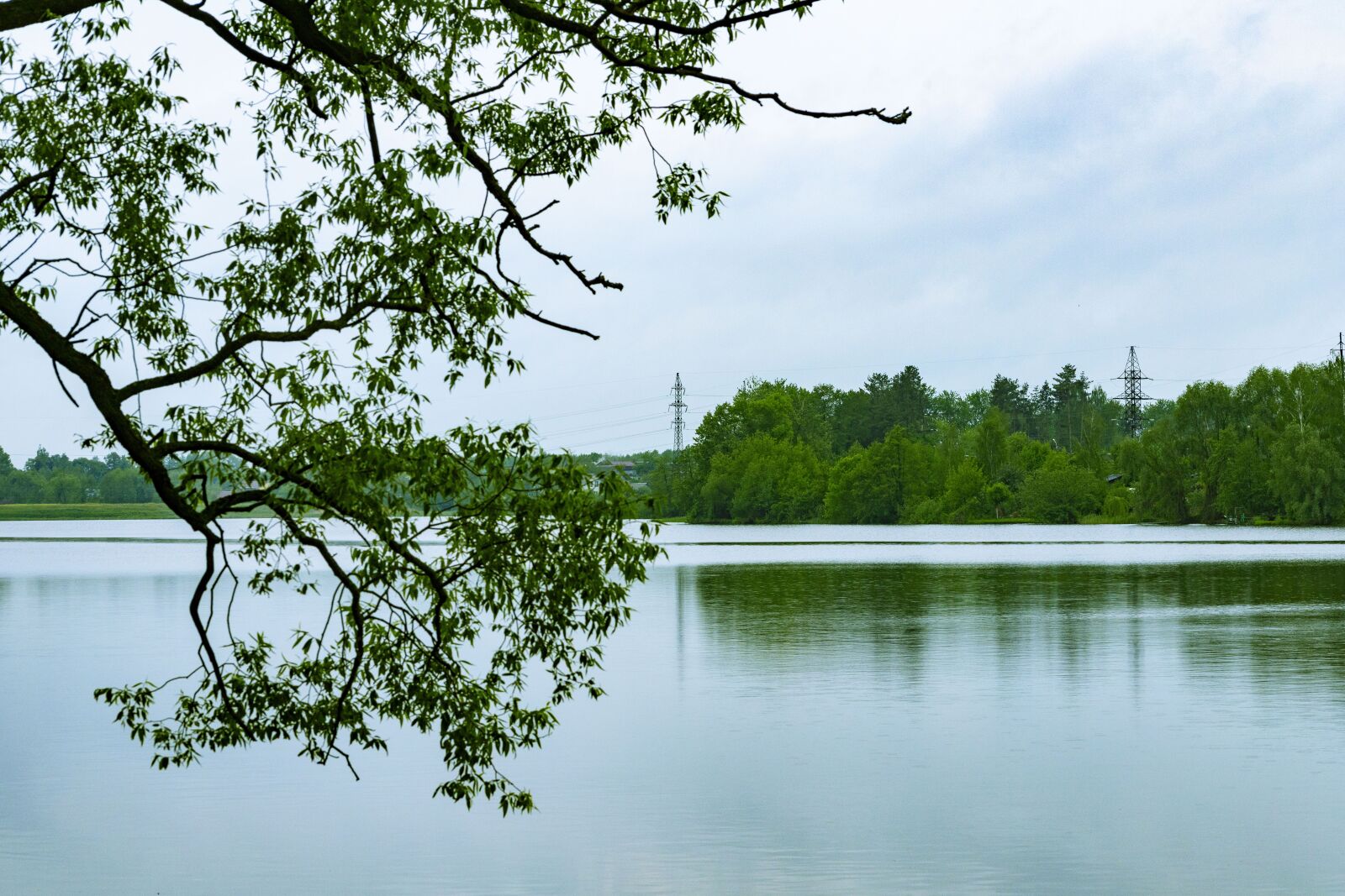 Canon EOS 6D Mark II sample photo. Bryansk oblast, the city photography