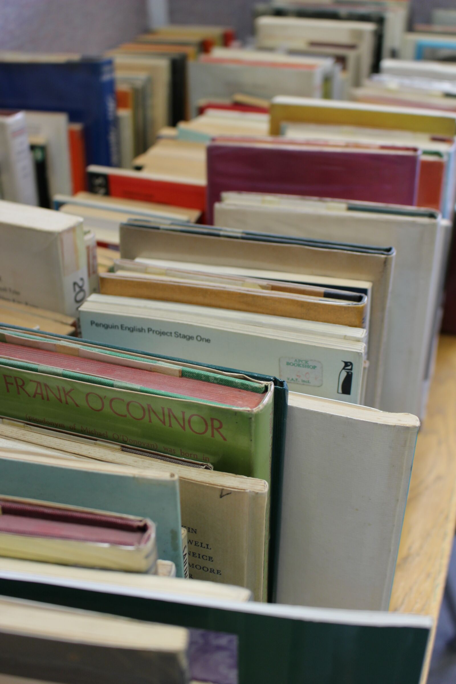Canon EOS 100D (EOS Rebel SL1 / EOS Kiss X7) sample photo. Books, knowledge, education photography