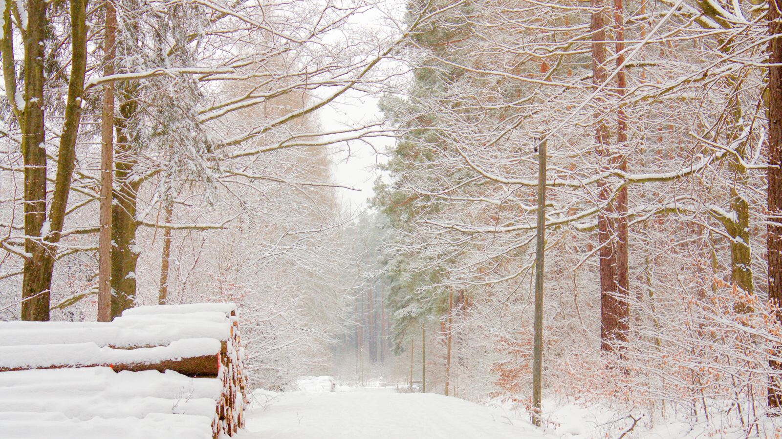 Canon EOS 450D (EOS Rebel XSi / EOS Kiss X2) sample photo. Snow, landscape, away photography