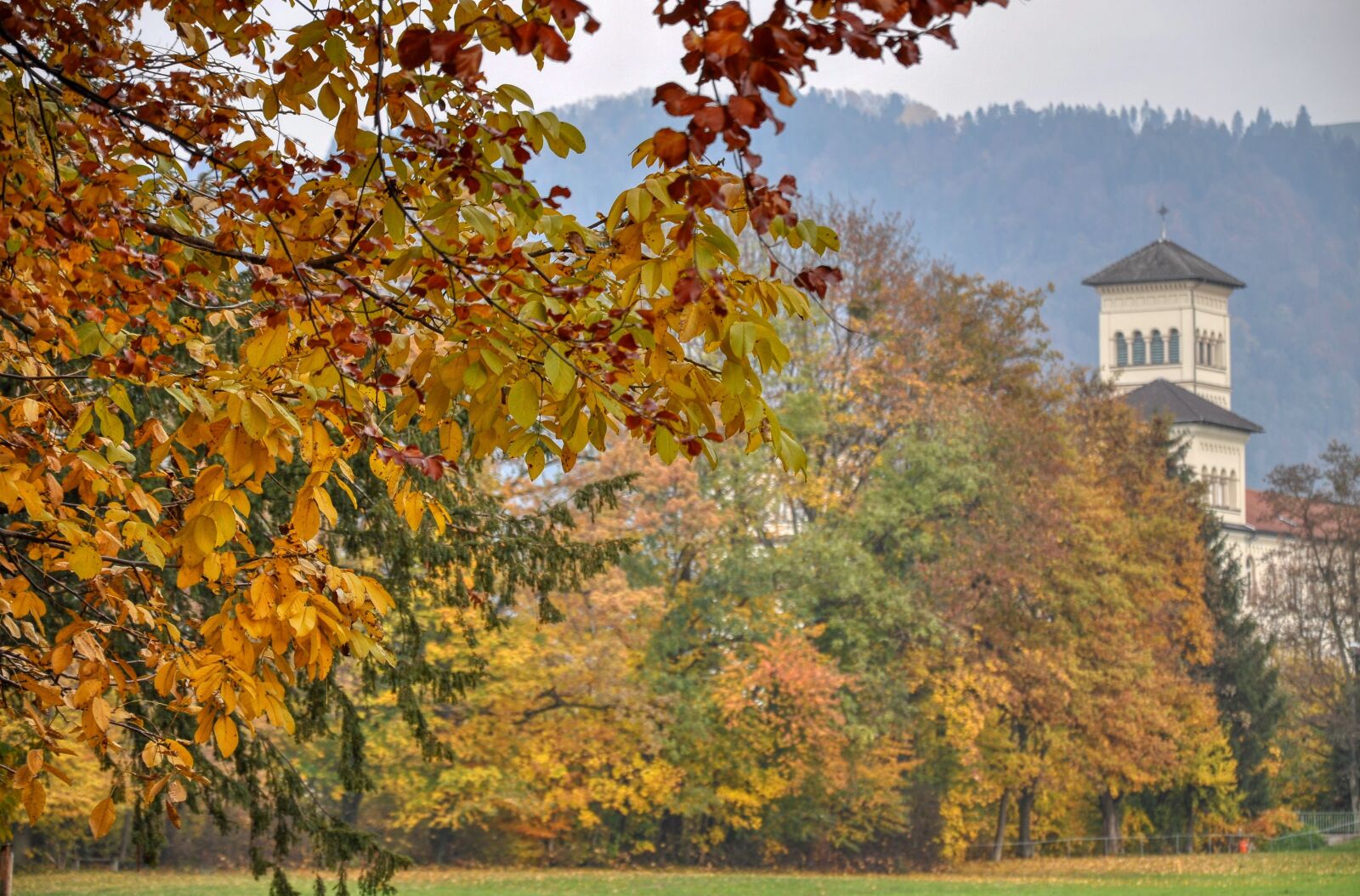 Nikon D5000 sample photo. Autumn, trees, leaves photography