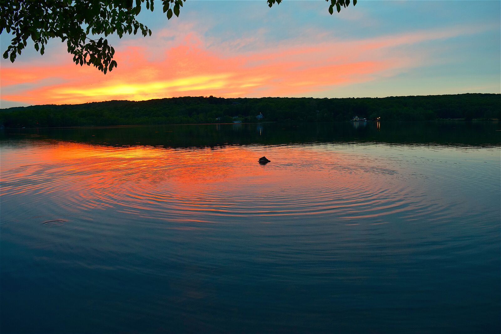 Nikon D3300 sample photo. Lake, sunset, ripple photography