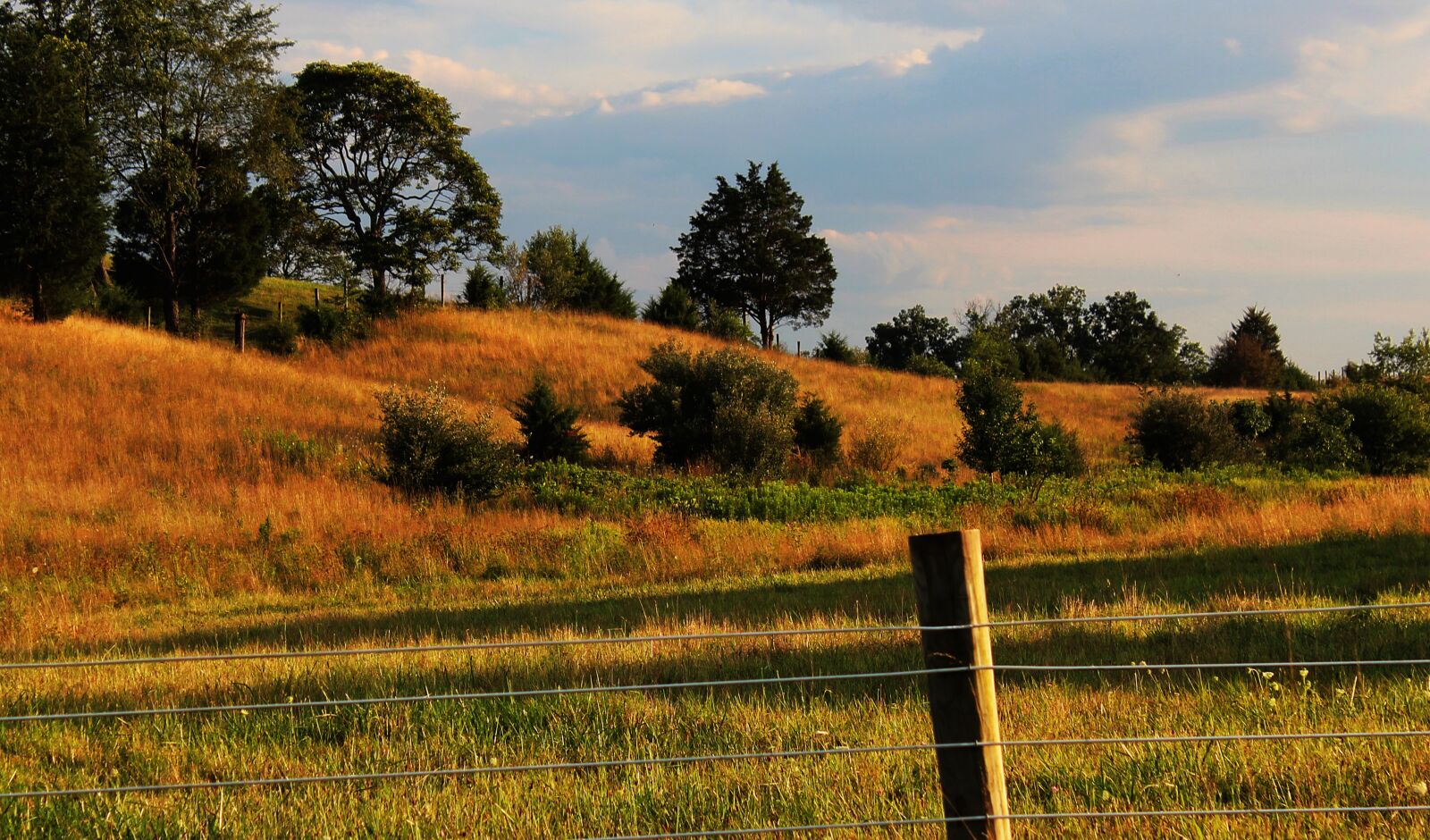 Canon EOS 600D (Rebel EOS T3i / EOS Kiss X5) sample photo. Shenandoah valley, virginia, meadow photography