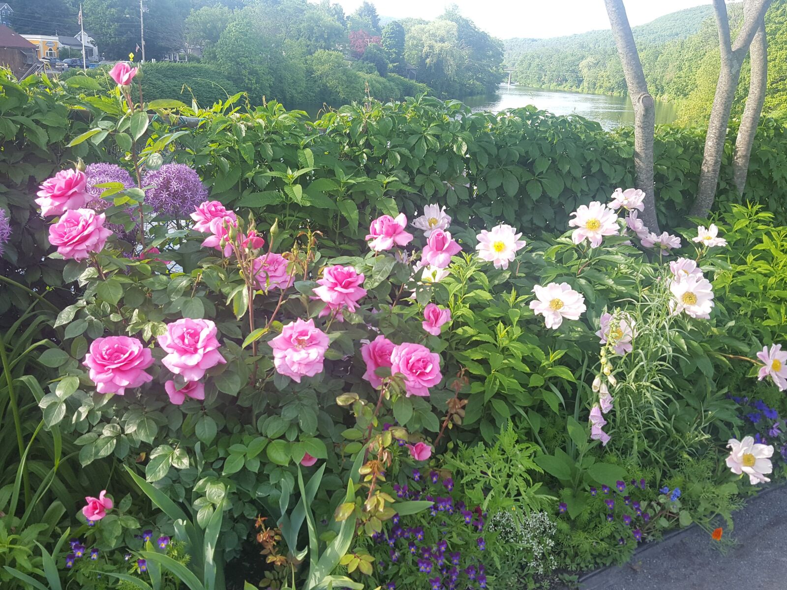 Samsung Galaxy S6 sample photo. Flower bridge, flower gardens photography
