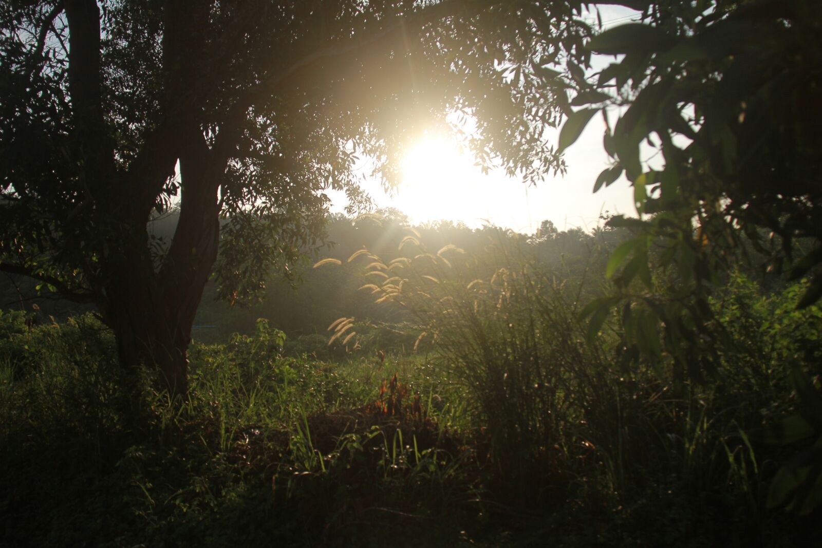 Canon EOS 7D sample photo. Sunrise, morning, nature photography
