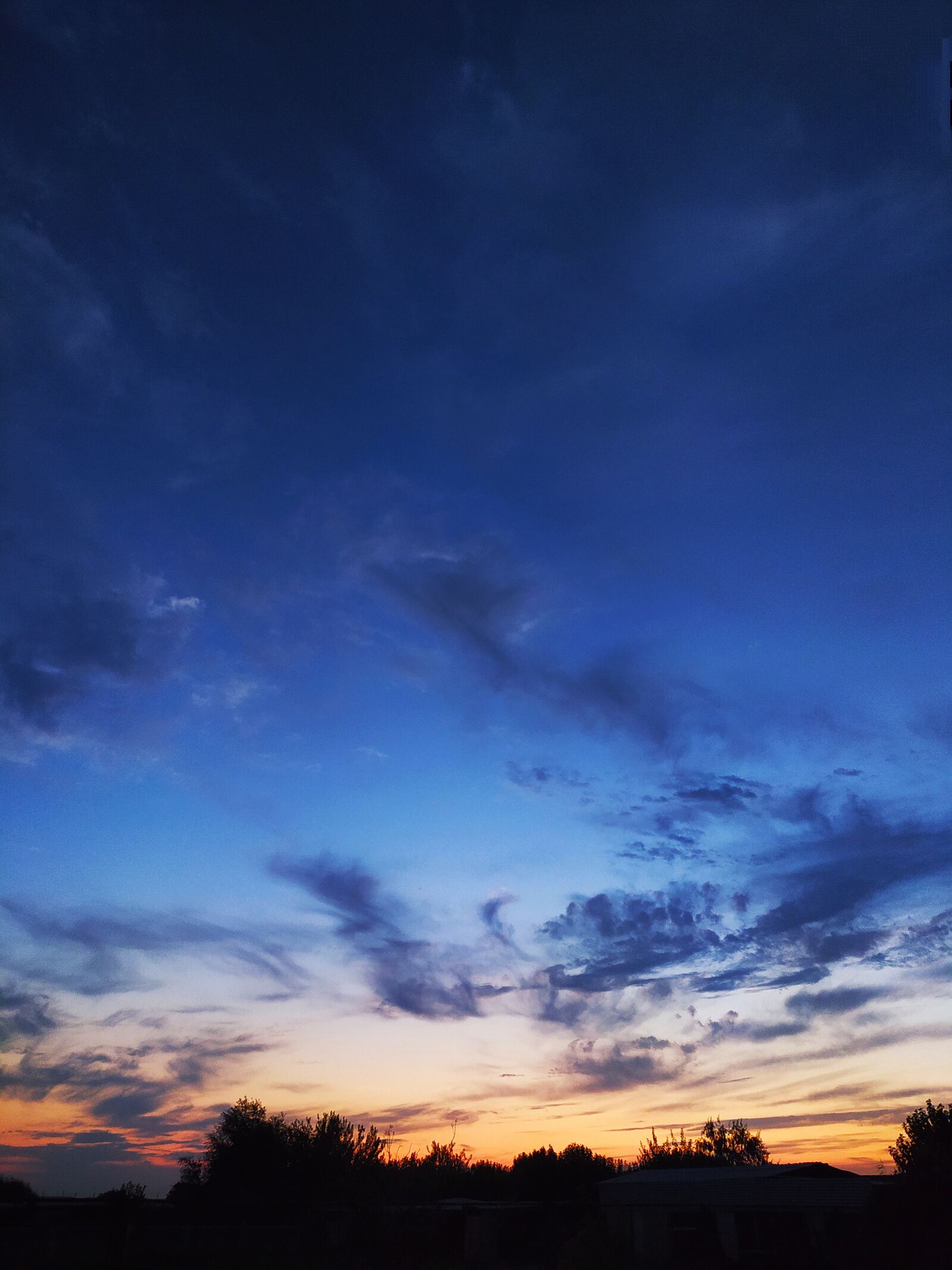Xiaomi Redmi Note 8 sample photo. Sky, blue, cloud photography