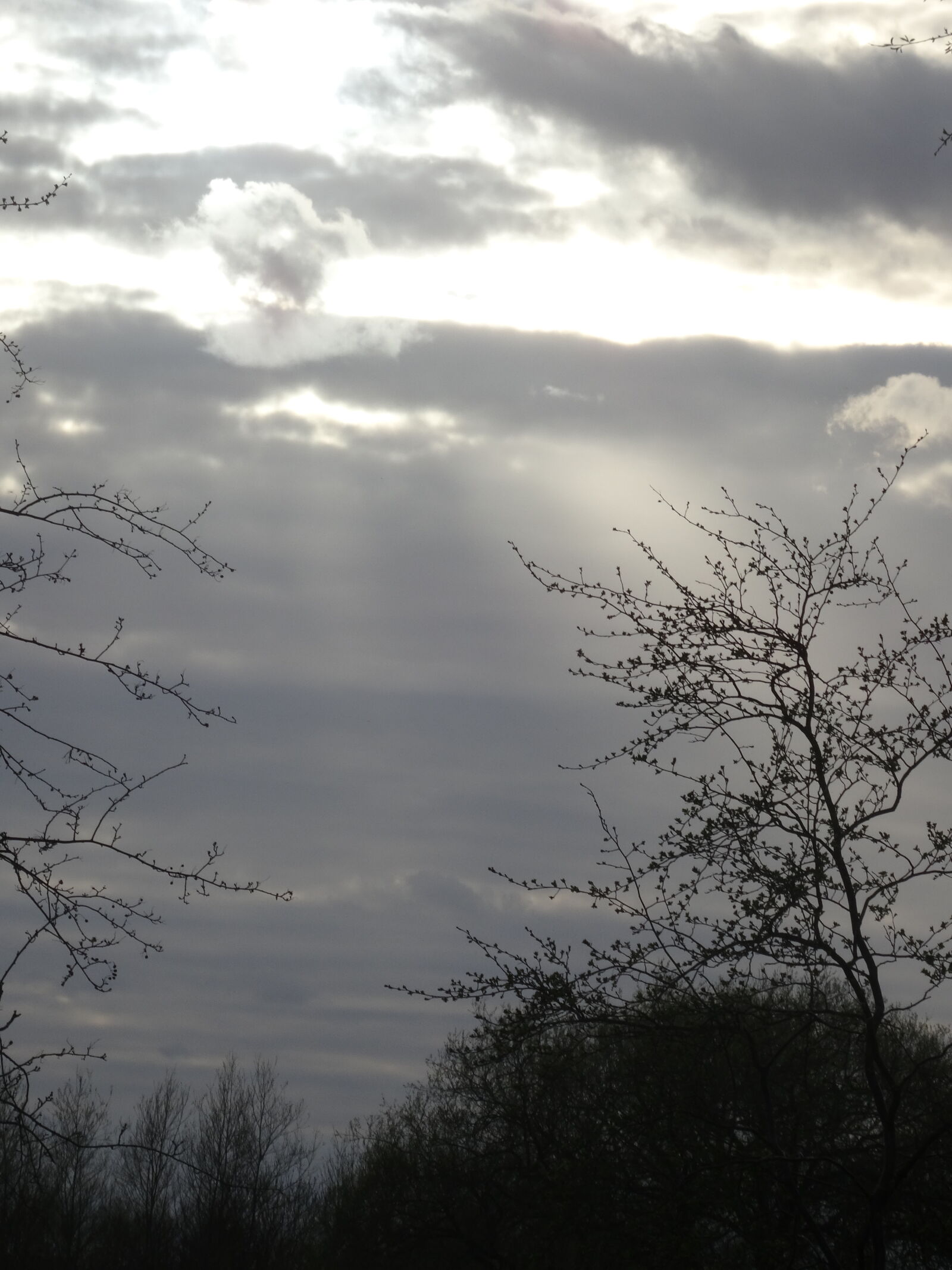 Sony DSC-HX50 sample photo