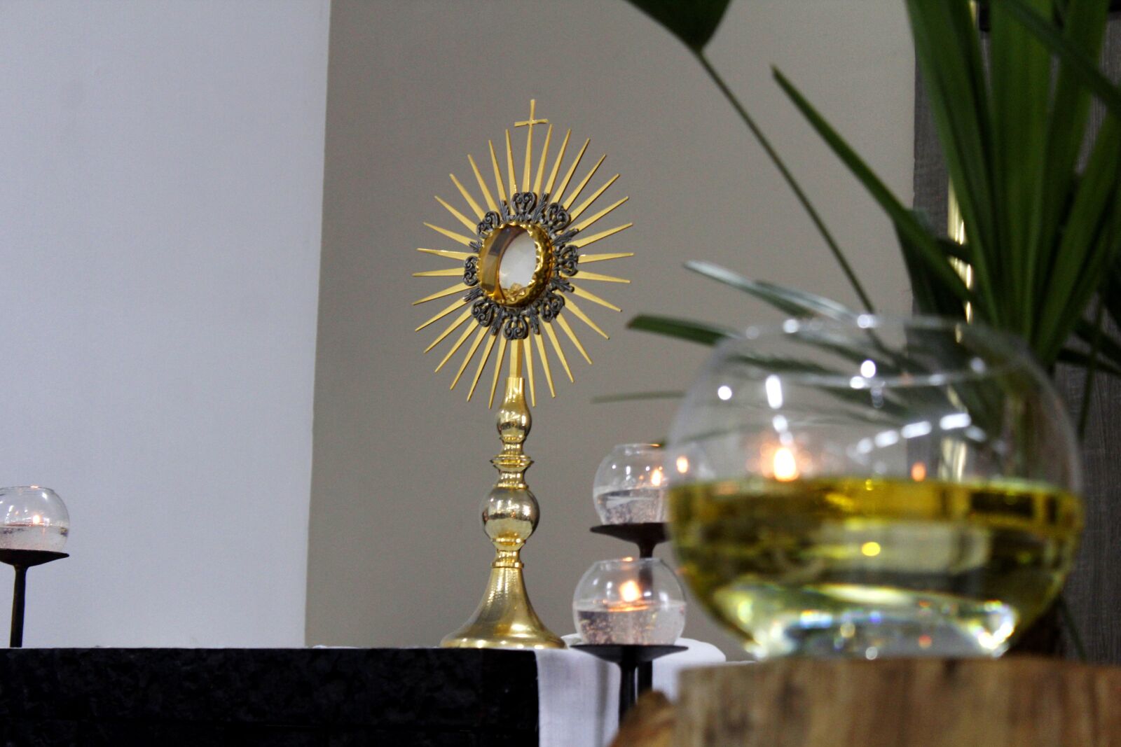 Canon EOS 600D (Rebel EOS T3i / EOS Kiss X5) sample photo. Monstrance, candle, worship photography