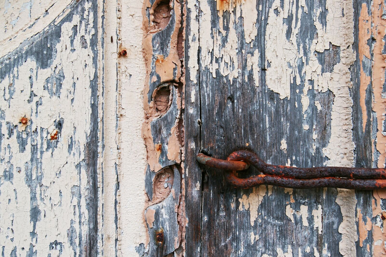 Pentax *ist DL2 sample photo. Old door, closed, door photography