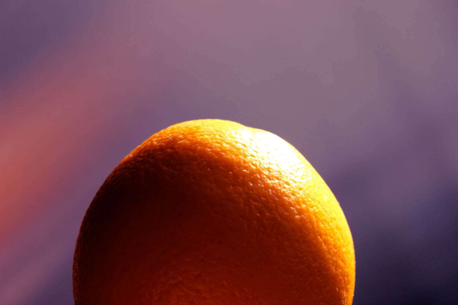 Canon EOS 600D (Rebel EOS T3i / EOS Kiss X5) sample photo. Fruit, orange photography