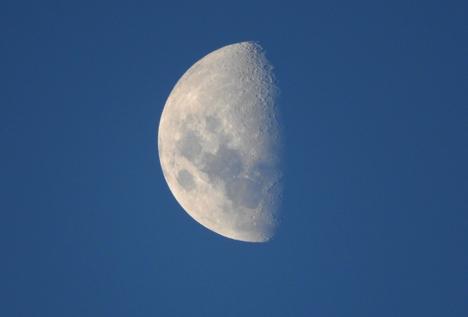 Nikon Coolpix P610 sample photo. Moon, satellite, moonlight photography