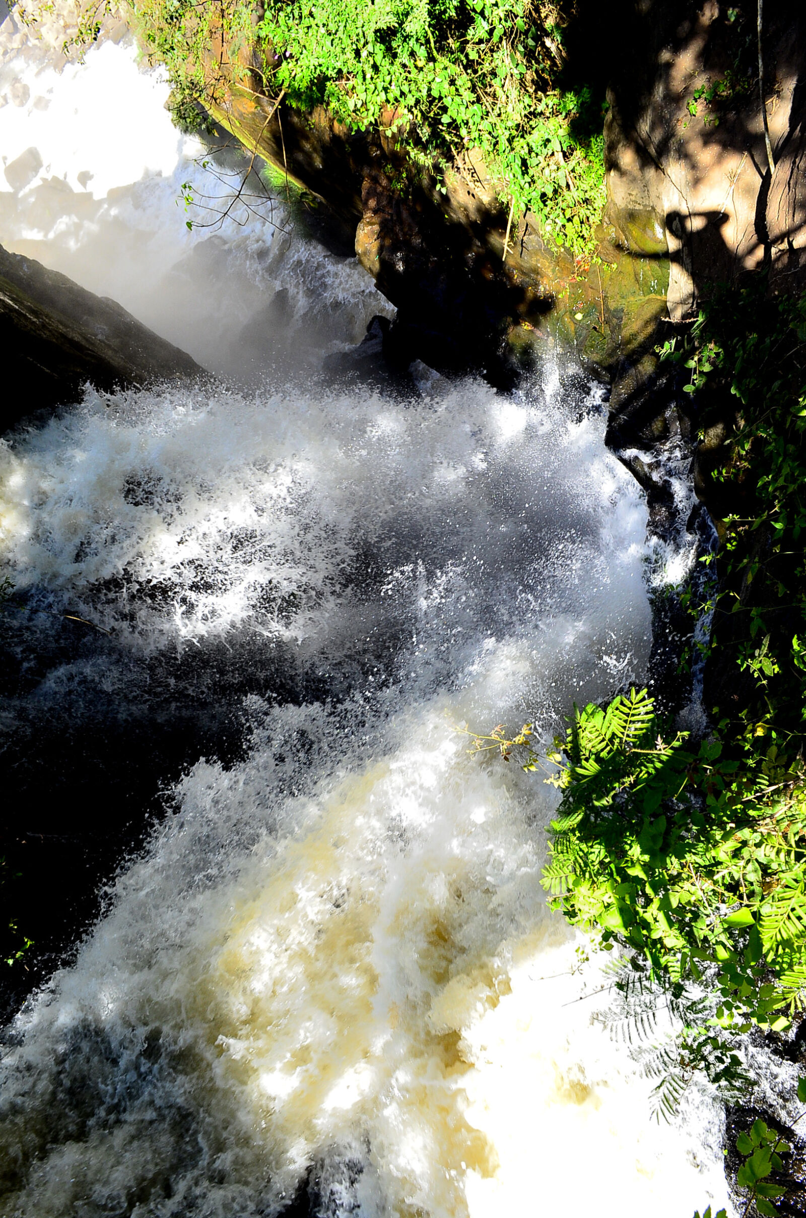 Nikon D5100 sample photo