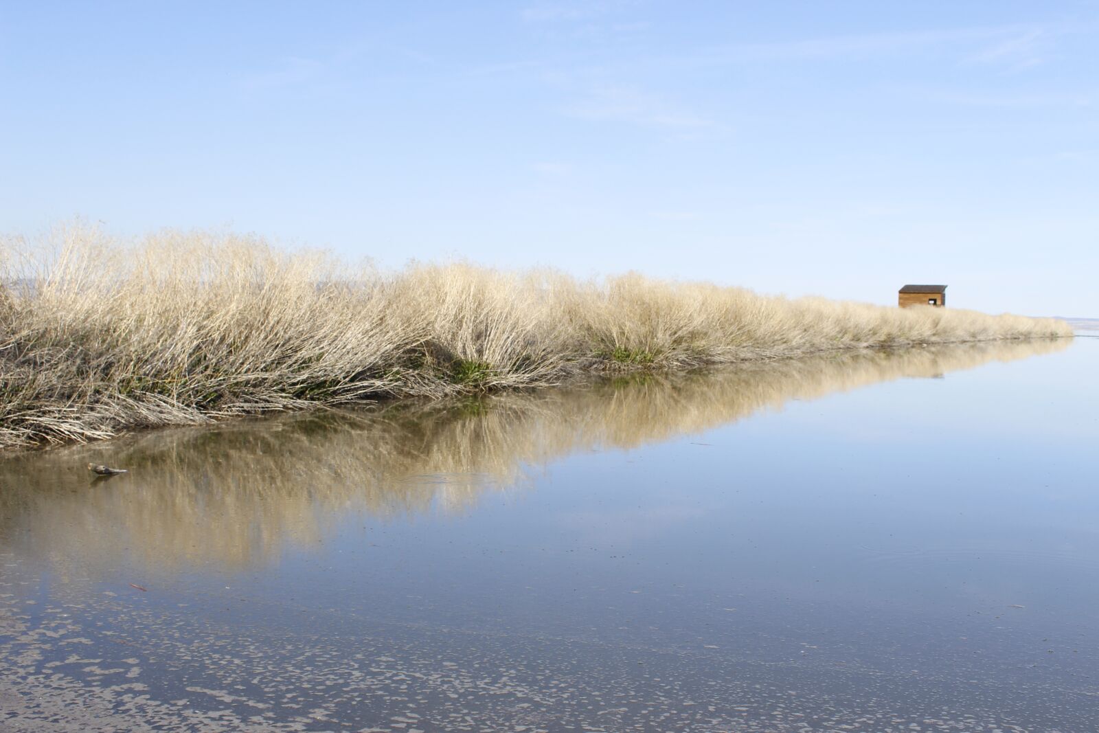 Canon EOS 700D (EOS Rebel T5i / EOS Kiss X7i) + Canon EF-S 18-55mm F3.5-5.6 IS STM sample photo. Tule lake, lake, wildlife photography