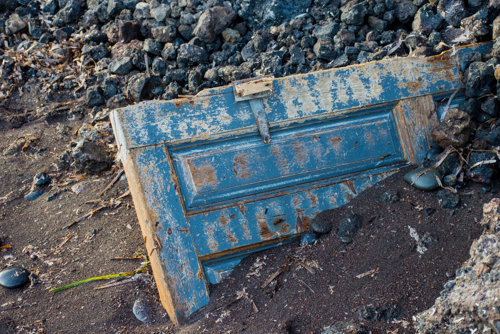 Nikon D7200 sample photo. Door, decay, abandoned photography