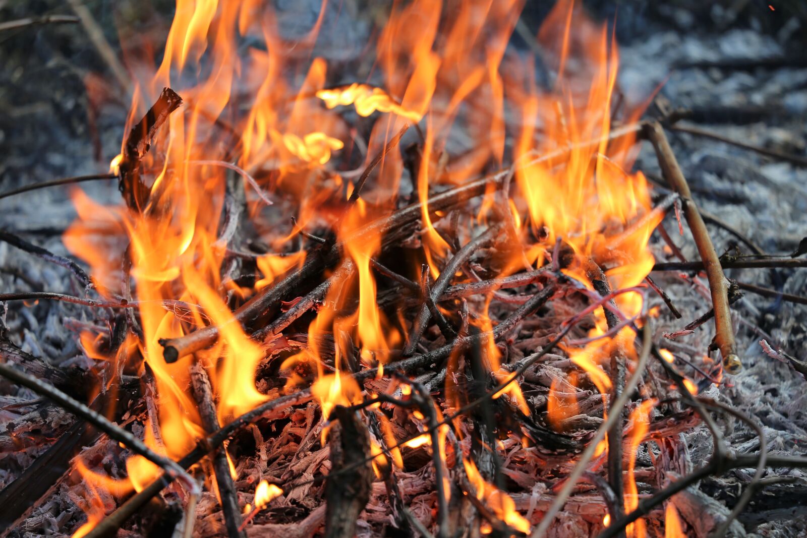 Canon EF 70-300 F4-5.6 IS II USM sample photo. Careful with fire, burning photography