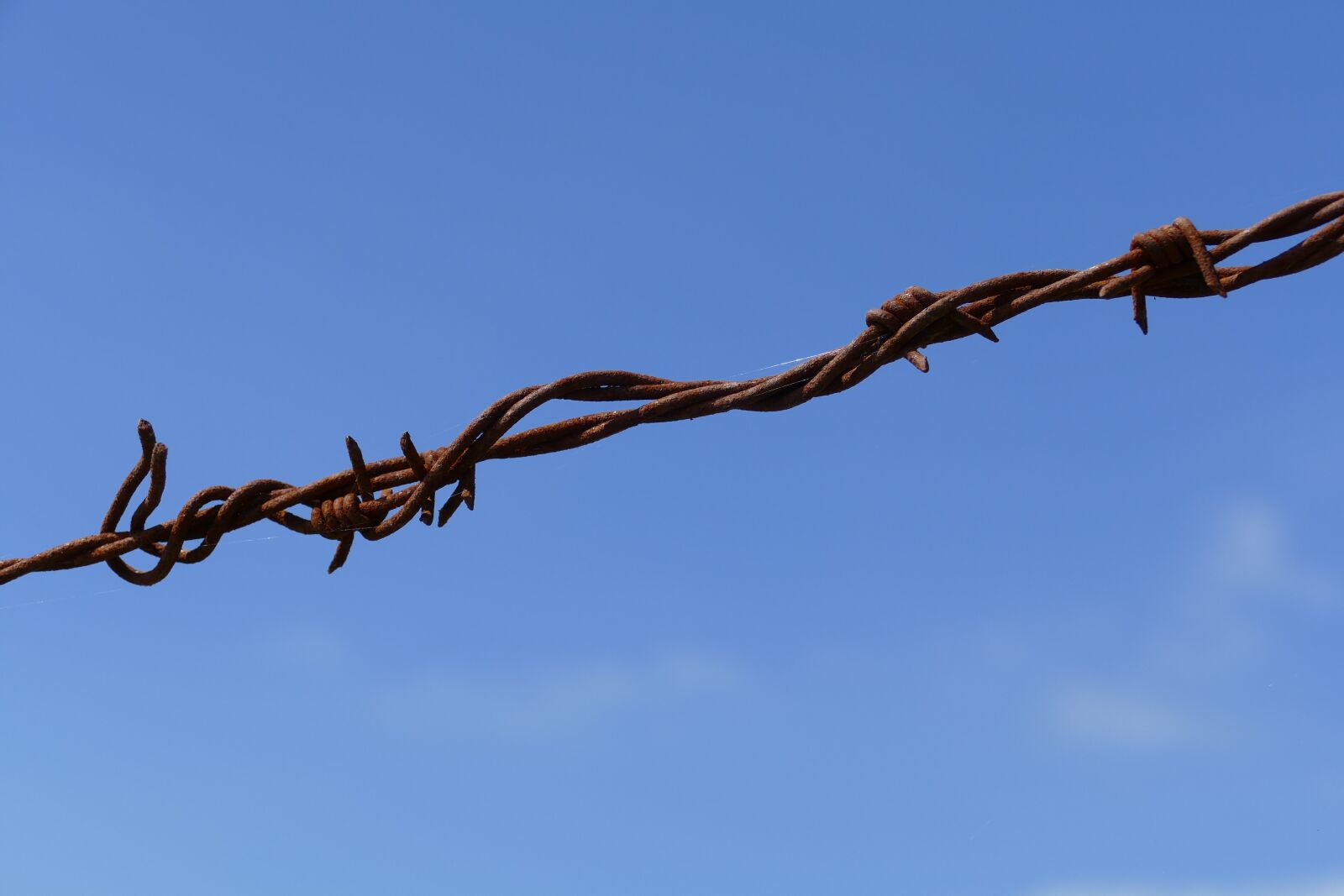Panasonic Lumix DMC-FZ1000 sample photo. Barbed wire, rust, sharp photography