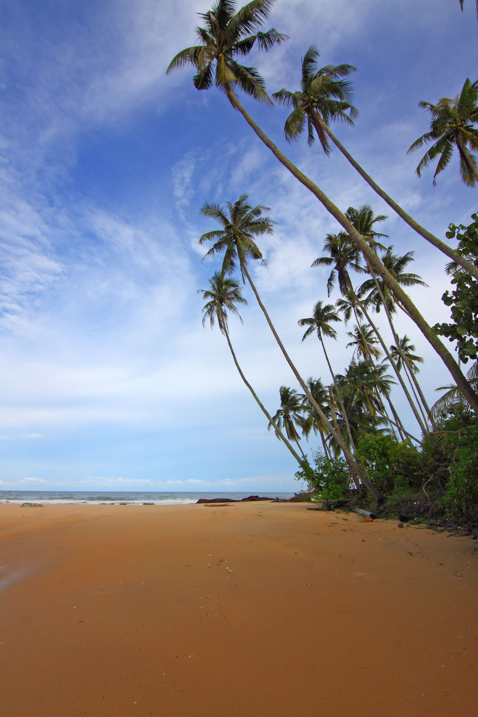 Canon EOS 50D sample photo. Beach, clouds, coconut, trees photography