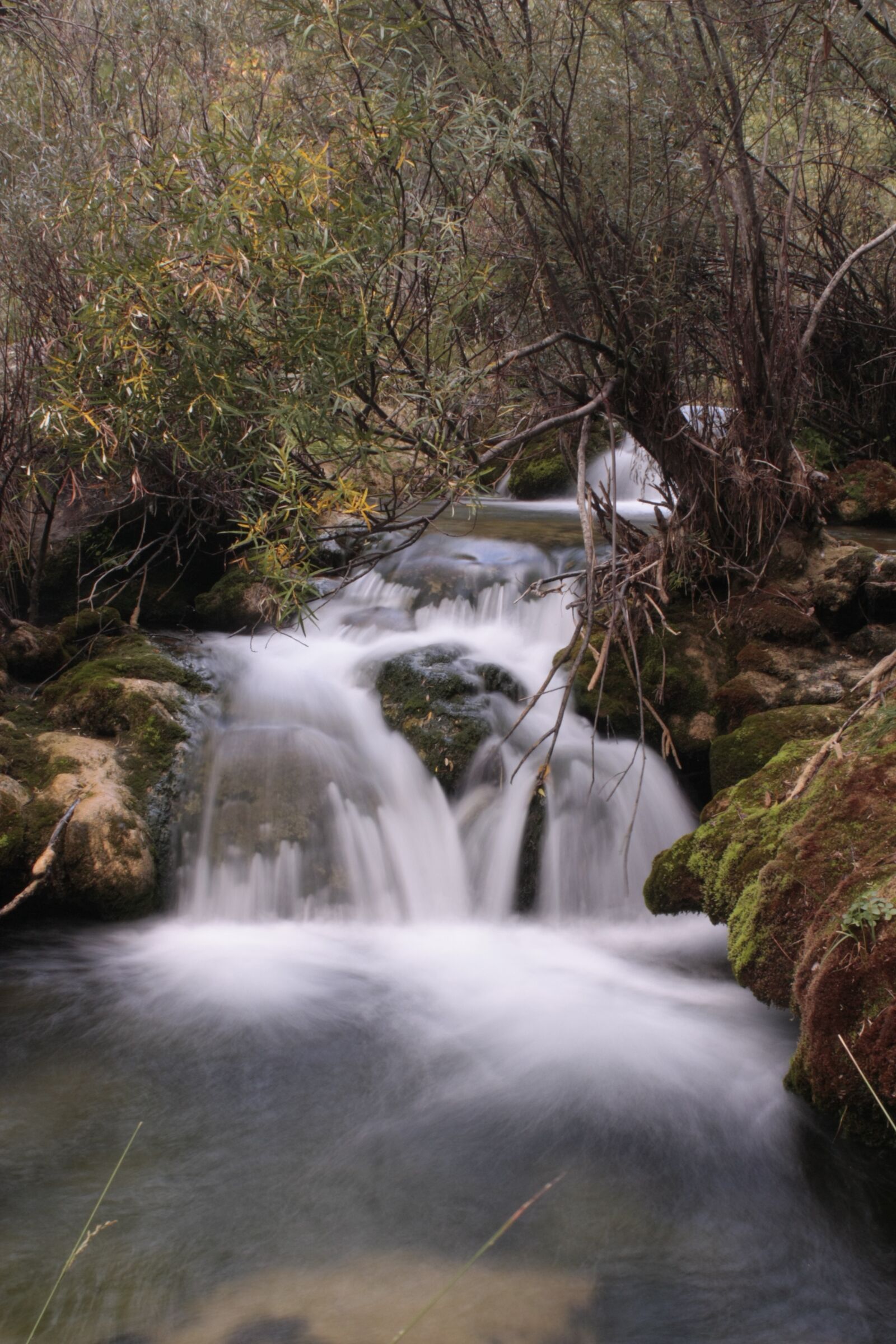 Canon EOS 450D (EOS Rebel XSi / EOS Kiss X2) sample photo. River, nature, waterfall photography
