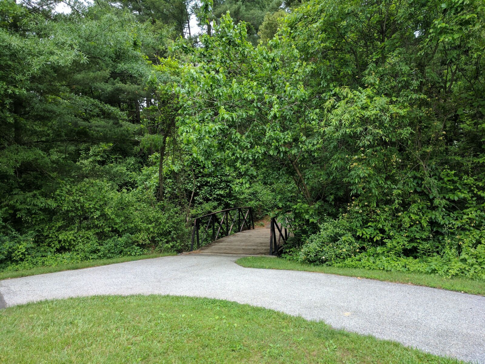 Google Pixel sample photo. Outdoors, nature, park photography