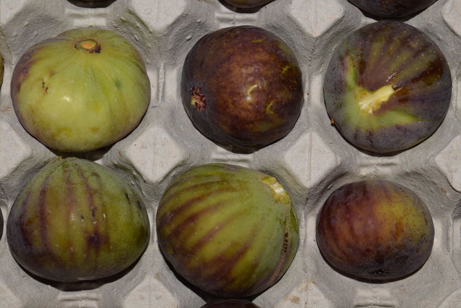 Nikon D3300 sample photo. Food, fruit, vegetable, fig photography