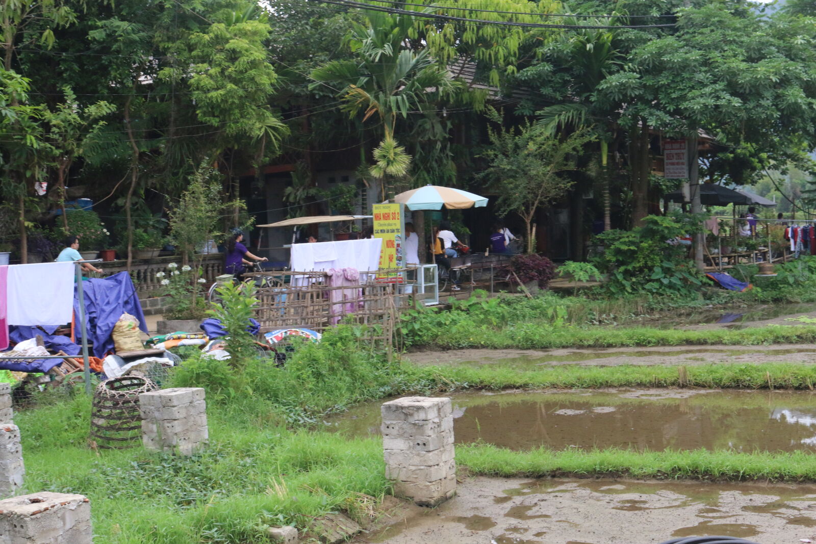 Canon EOS 70D sample photo