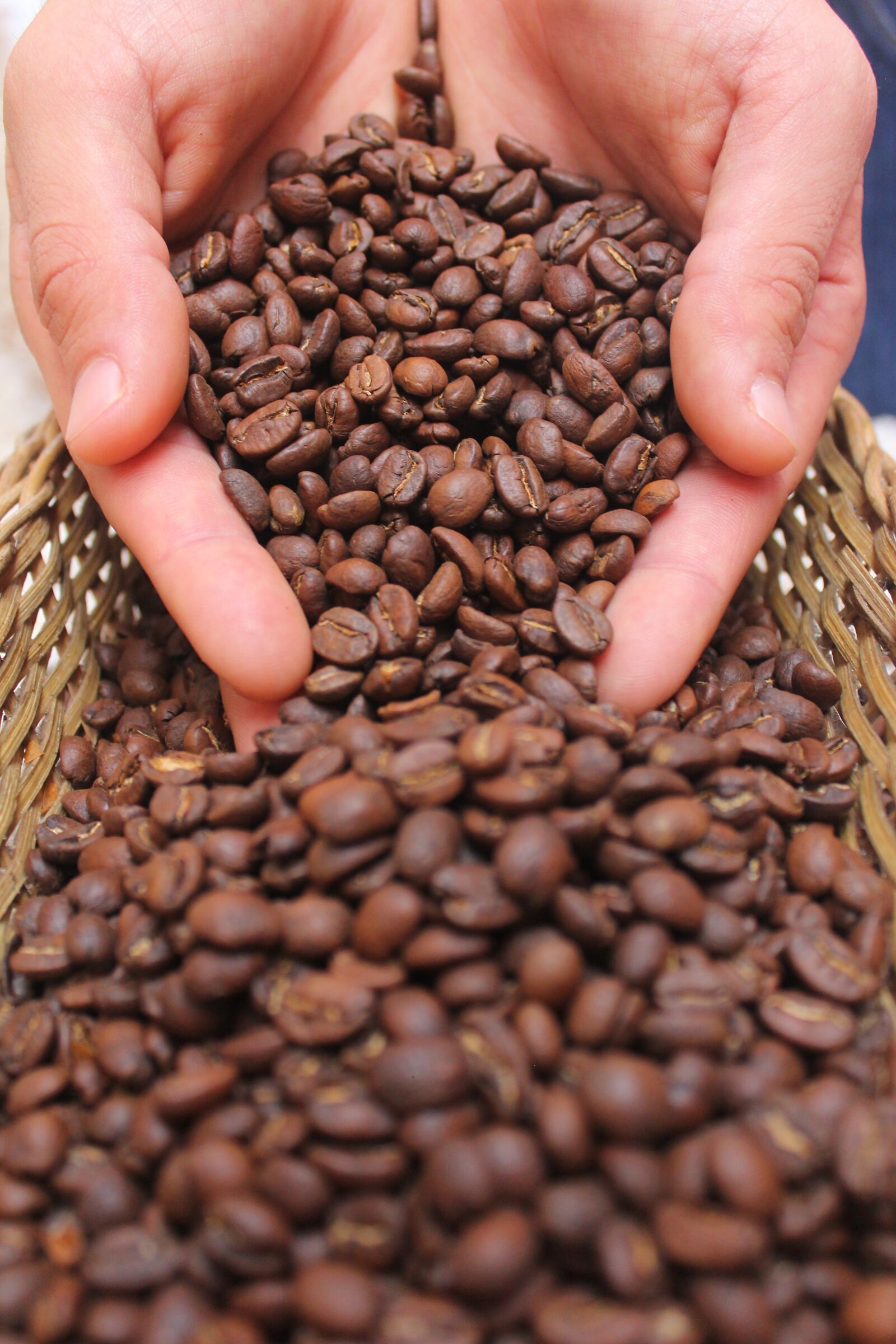 Canon EOS 60D sample photo. Coffee, drink, caffeine photography