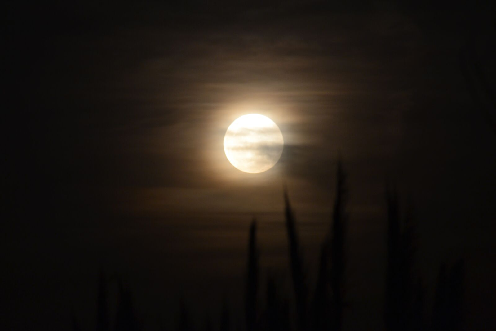 Nikon D3100 sample photo. Moon, night, night landscape photography