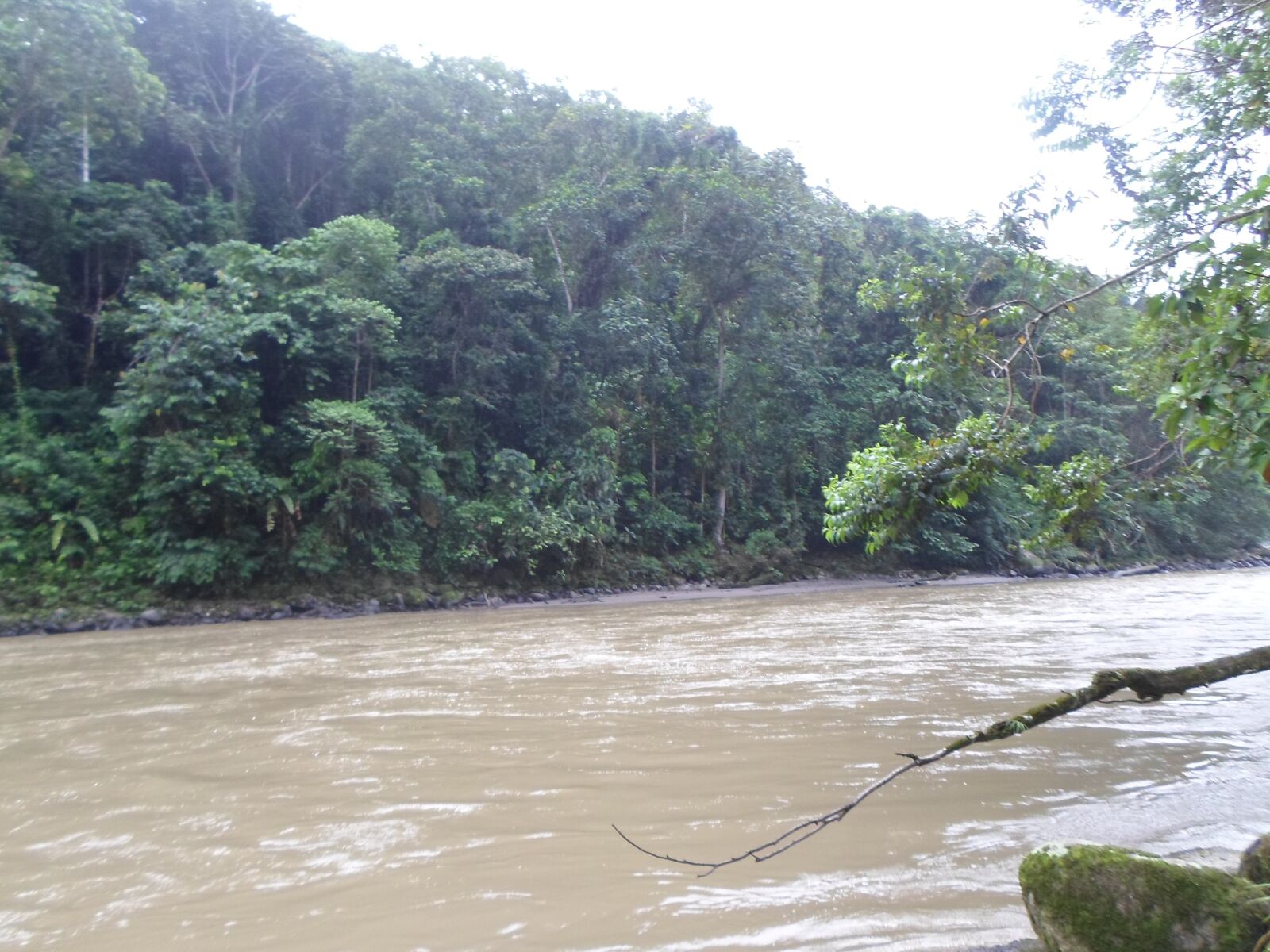 Samsung ES95 sample photo. Water, river, vegetation photography