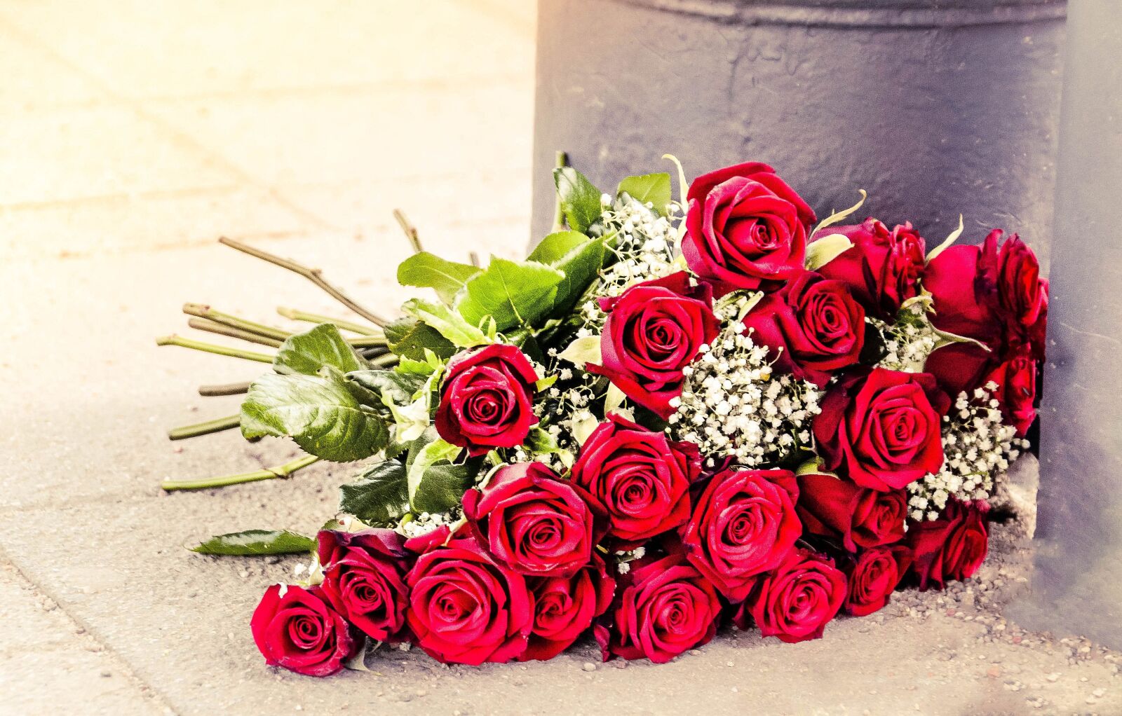Nikon D3100 sample photo. Roses, summer, red photography
