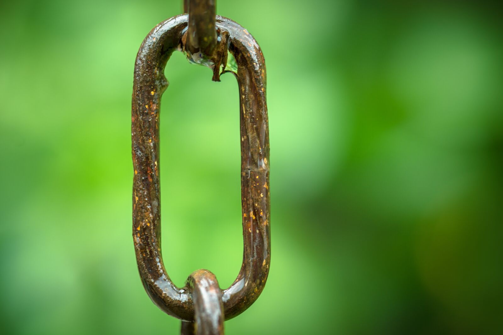 Nikon D7100 sample photo. Chain link, round link photography