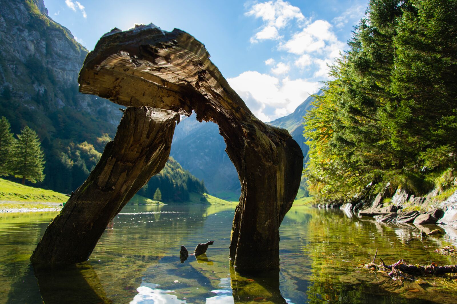Nikon D7100 sample photo. Seealpsee, water, nature photography