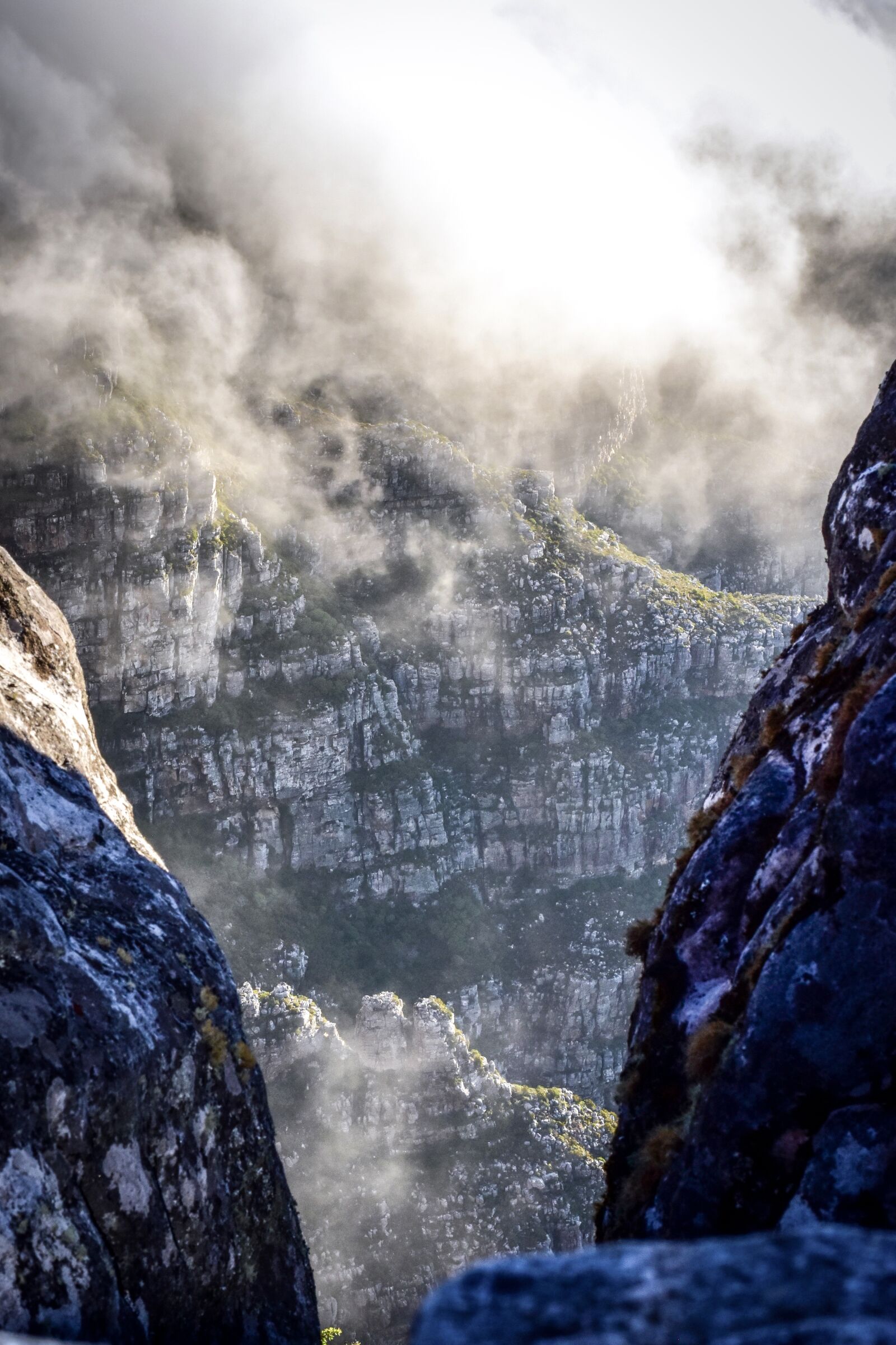 Nikon D5500 + Nikon AF-S Nikkor 50mm F1.8G sample photo. South africa, table mountain photography