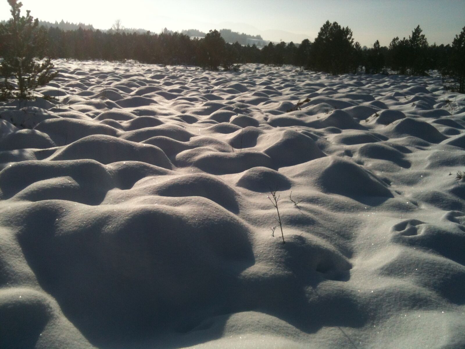 Apple iPhone 3GS sample photo. Snow, cross country skiing photography