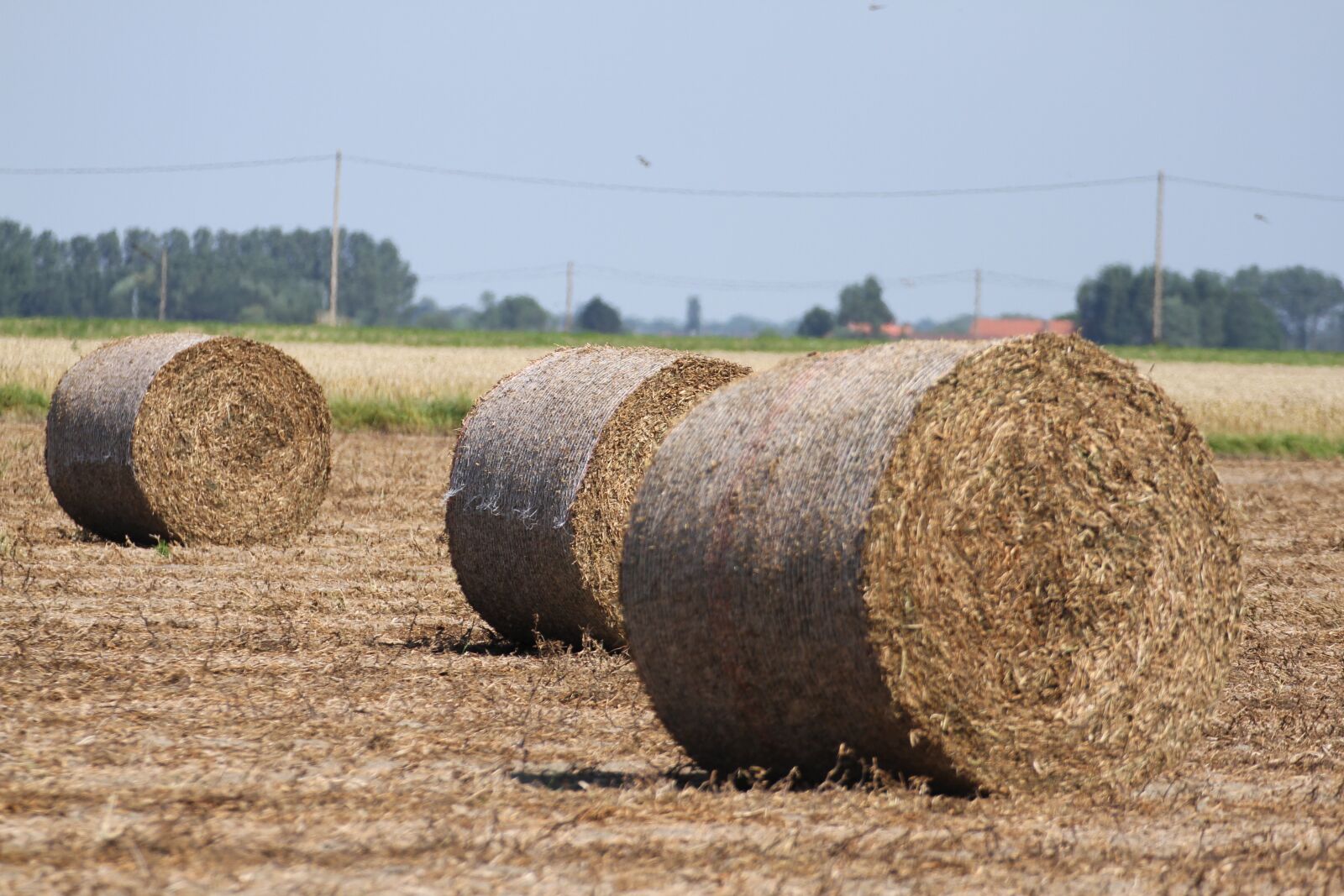 Canon EOS 7D sample photo. Nature, oostende, landscape photography