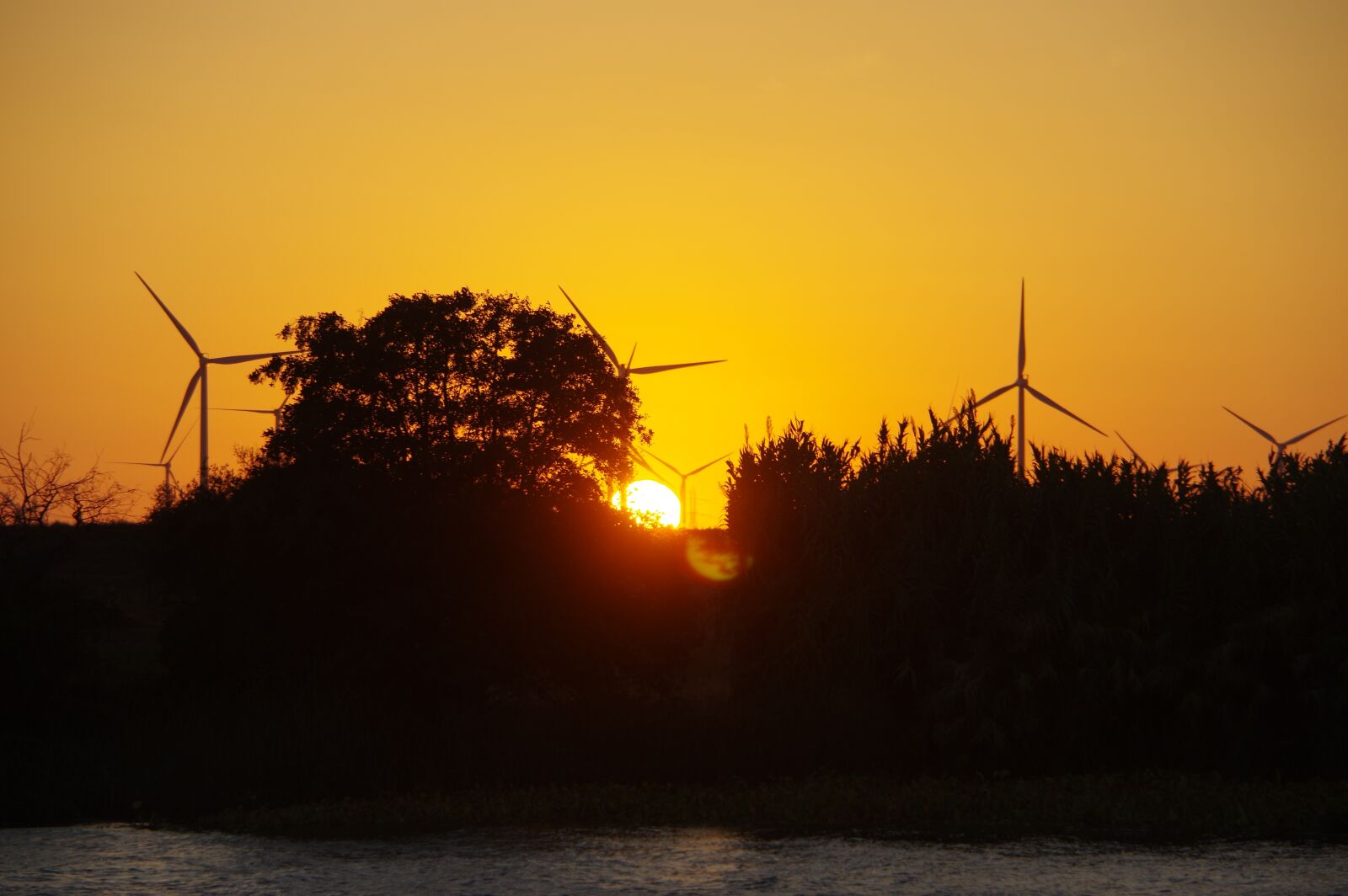 Pentax K-3 sample photo. Sunset, windmills, horizon photography