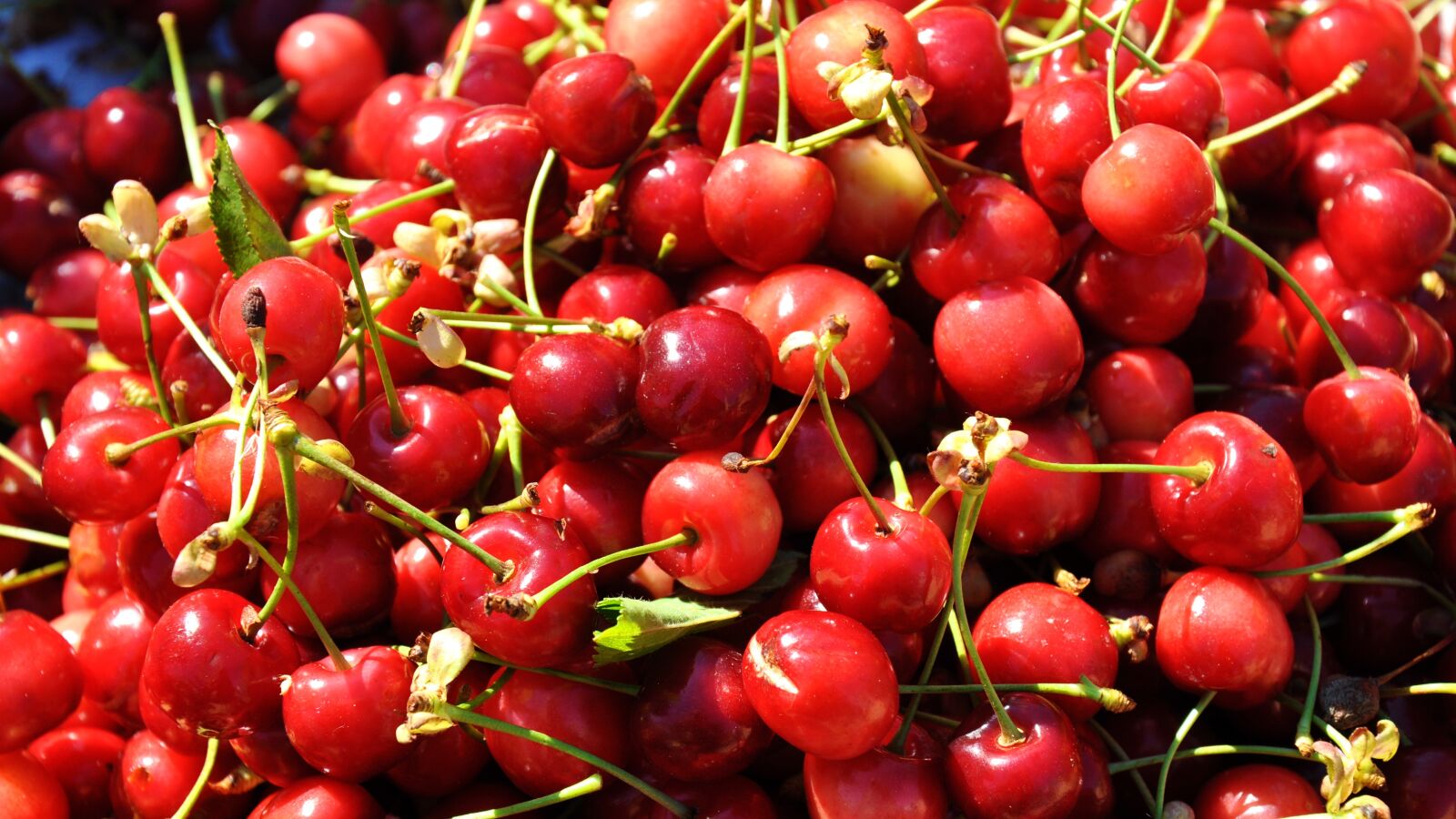 Nikon D90 sample photo. Fruit, spring, red photography