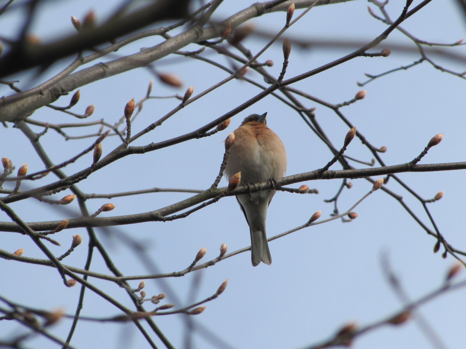 Canon PowerShot SX20 IS sample photo. Loshgf, okixucviuhsrt, xcvmnbar photography