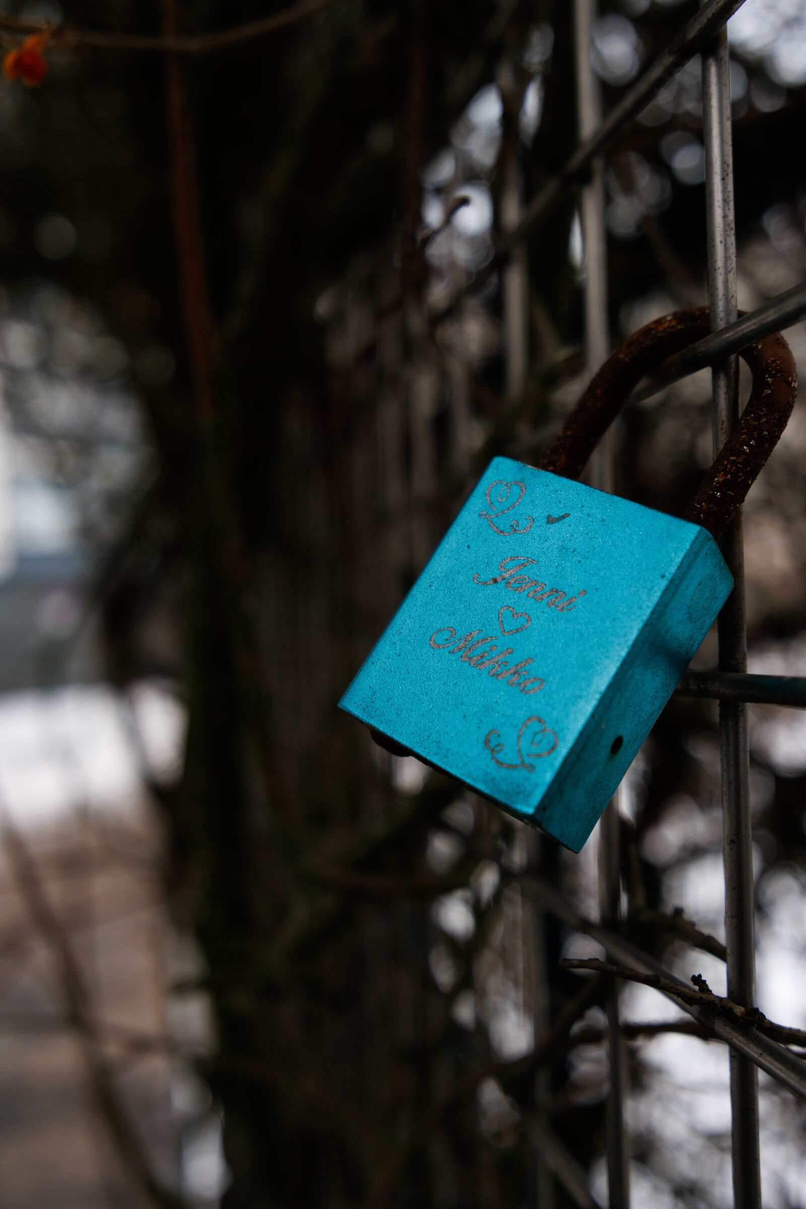 Tamron 11-20mm F2.8 Di III-A RXD sample photo. Blue padlock photography