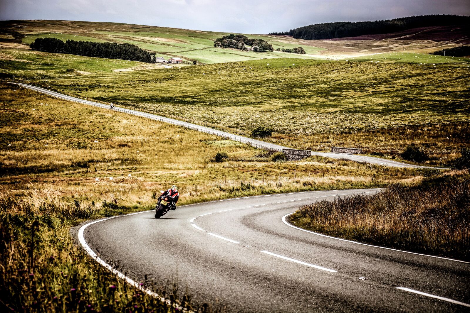 Nikon D7100 sample photo. Motorcycle, road, motorbike photography