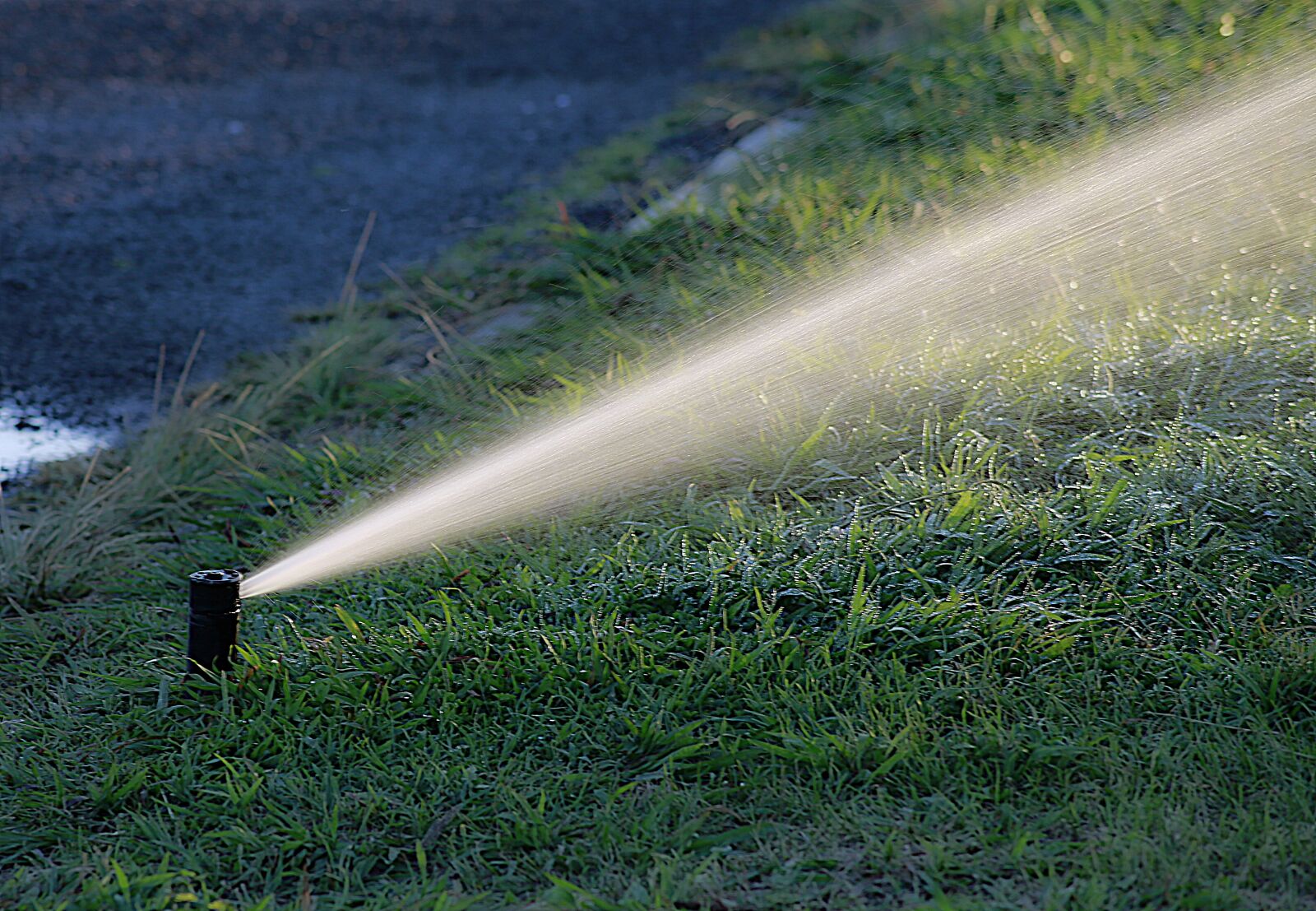 Canon EOS 5D Mark III sample photo. Water, watering, garden photography