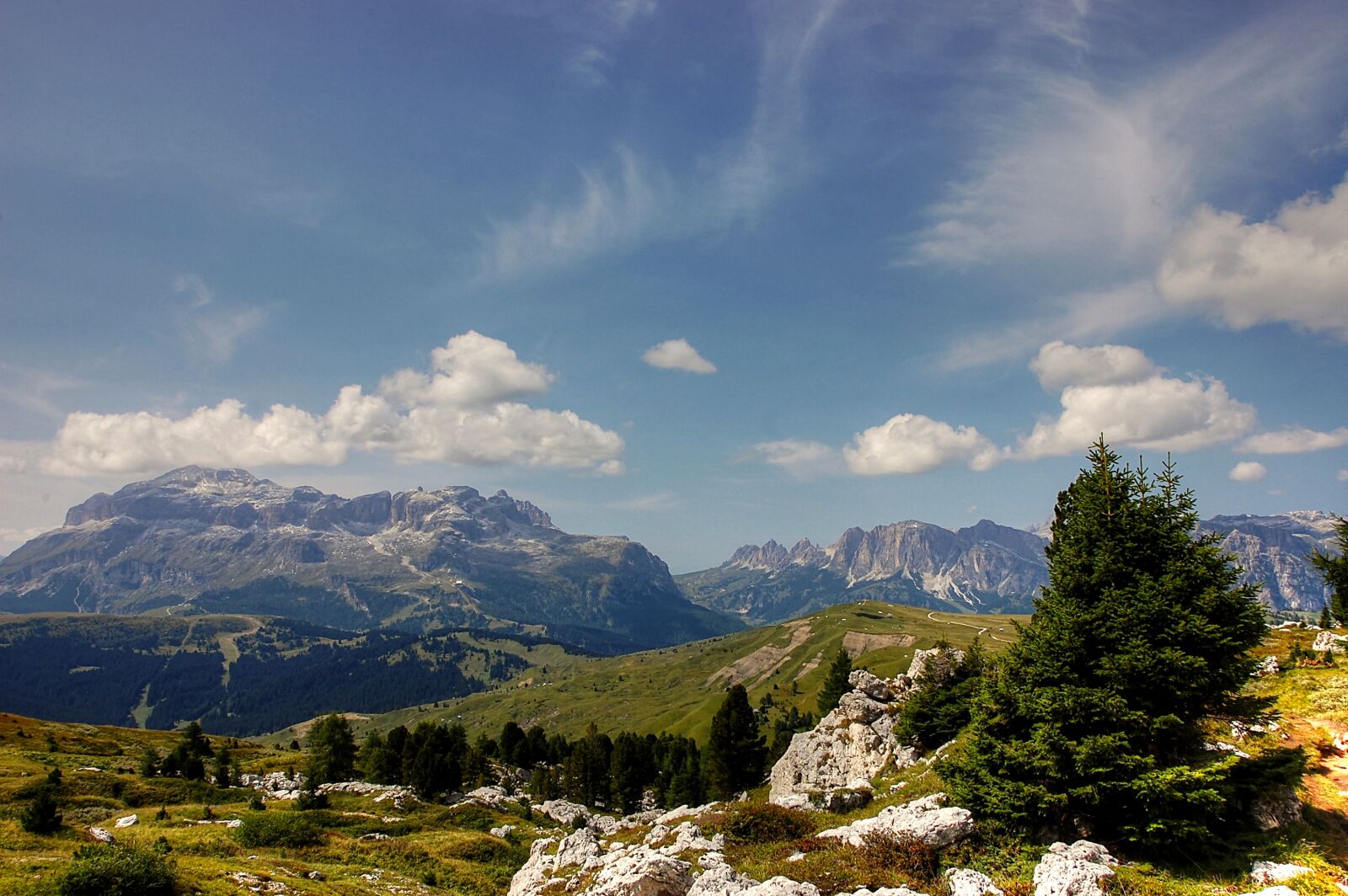 Nikon D40 sample photo. Pralongia, dolomites, alm photography