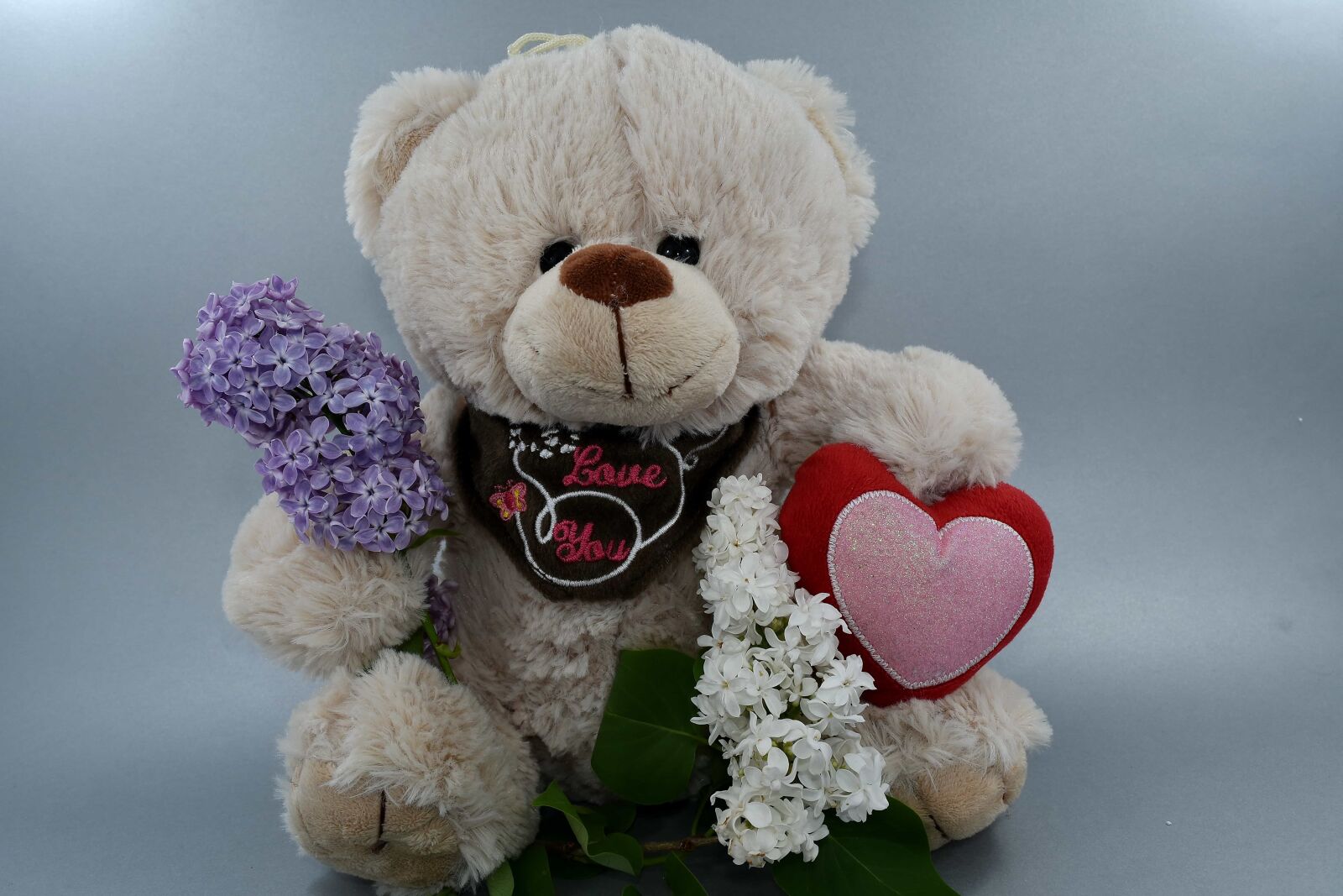 Nikon D5500 sample photo. Beautiful flowers, gift, love photography