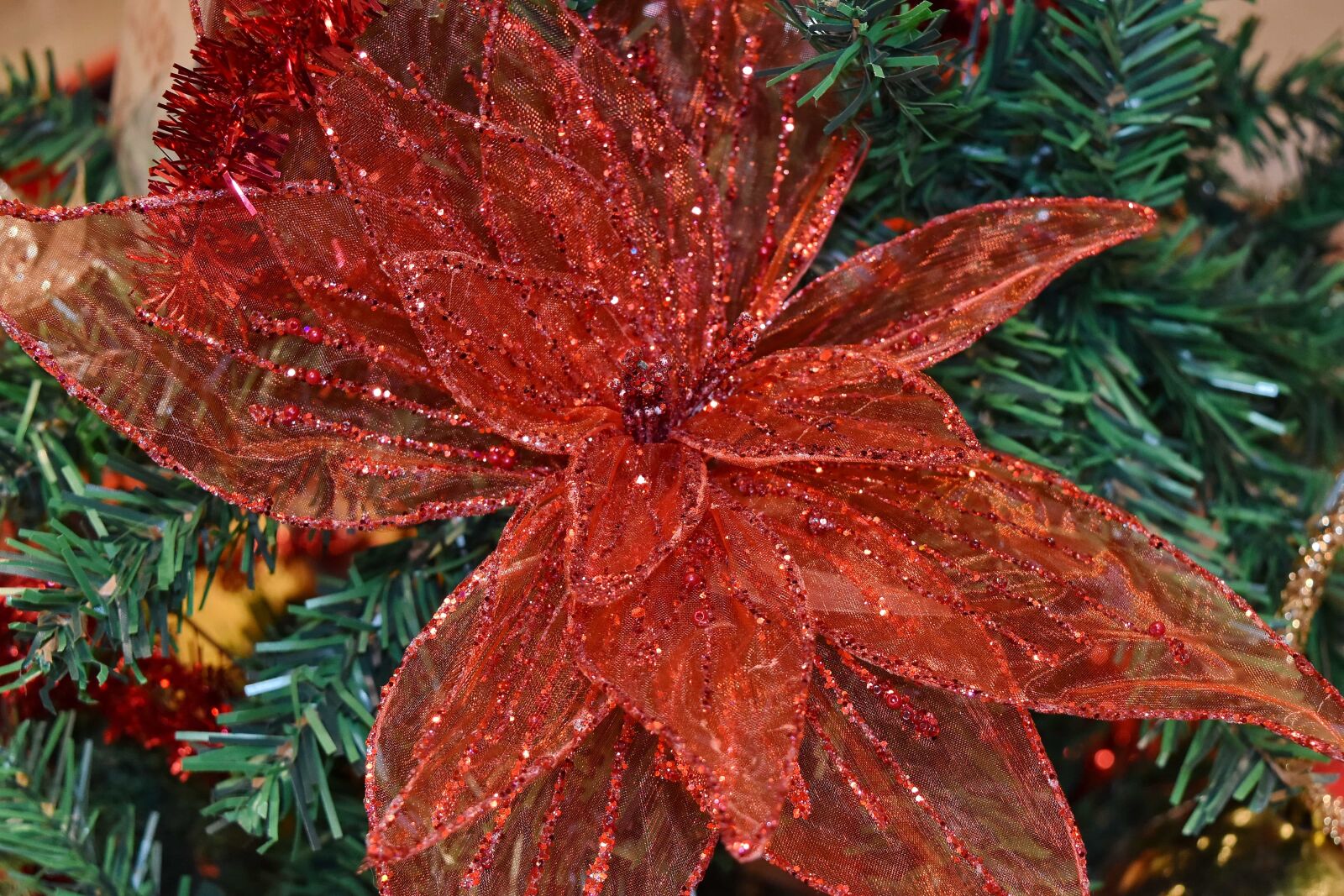 Nikon D5500 sample photo. Christmas tree, decoration, flower photography