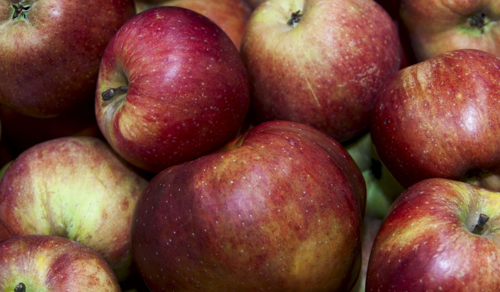 Canon EOS 350D (EOS Digital Rebel XT / EOS Kiss Digital N) sample photo. Apples, fruit, eco photography