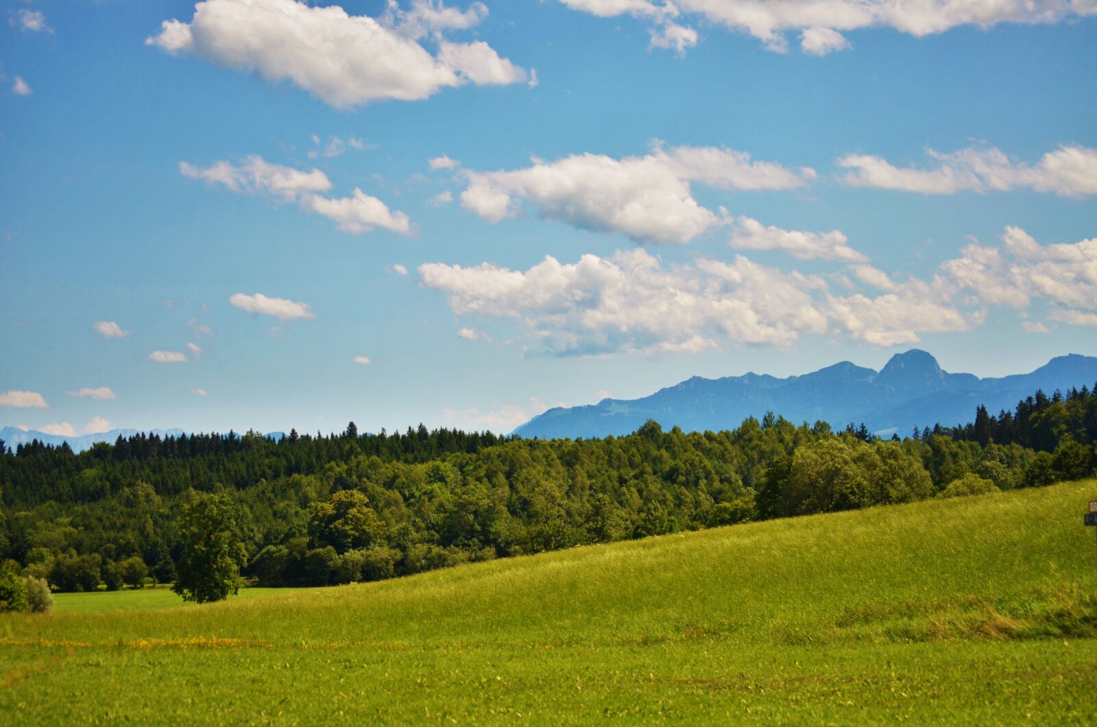 Nikon D5100 sample photo. Mountains, meadow, forest photography