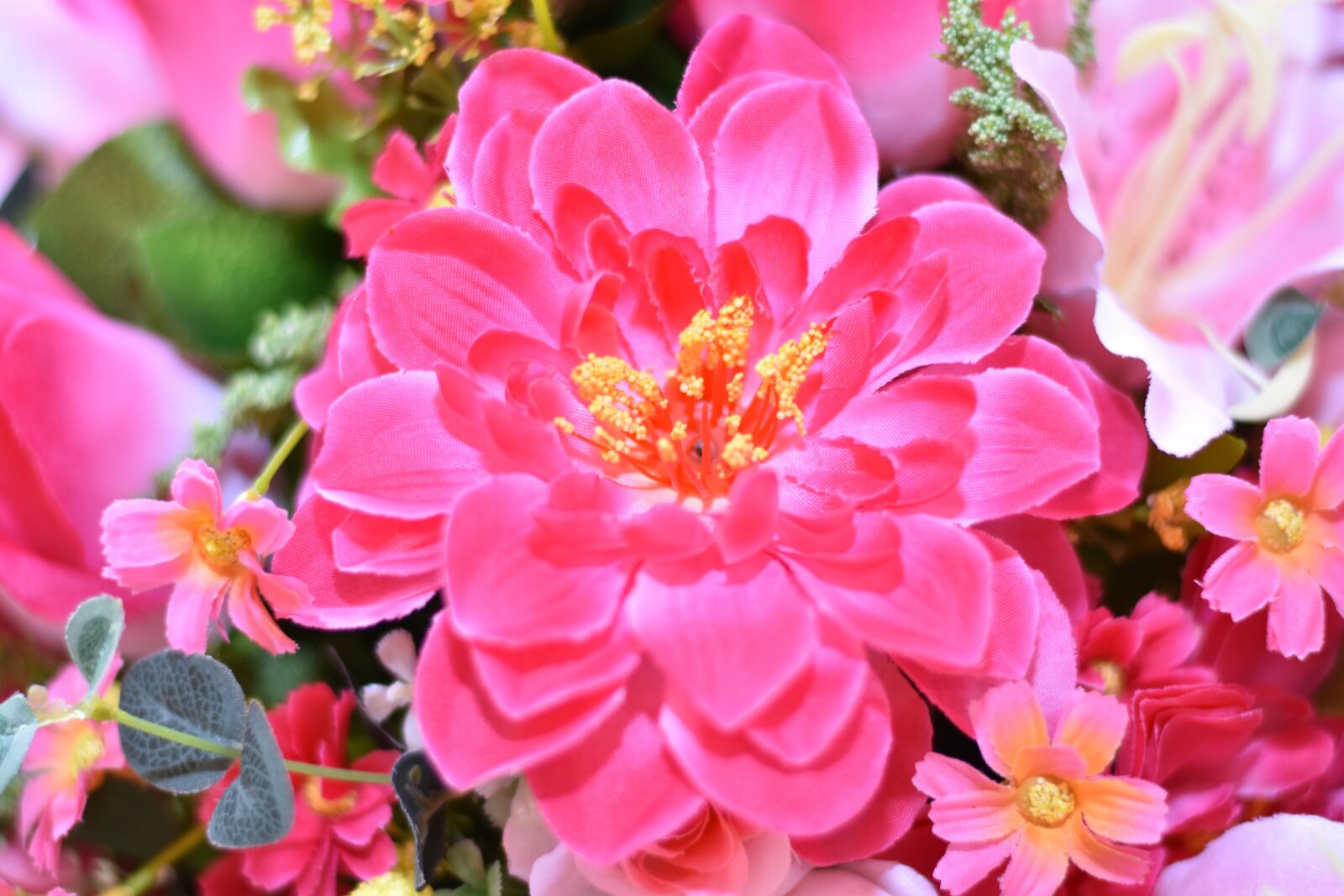 Nikon D7200 sample photo. Flower, daisy, blossom photography