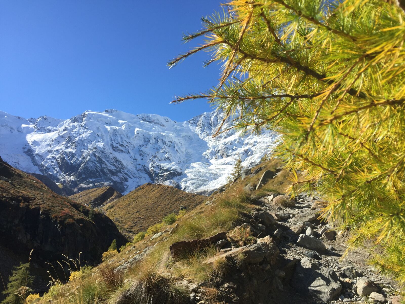 iPhone 6 back camera 4.15mm f/2.2 sample photo. Landscape, nature, fall photography