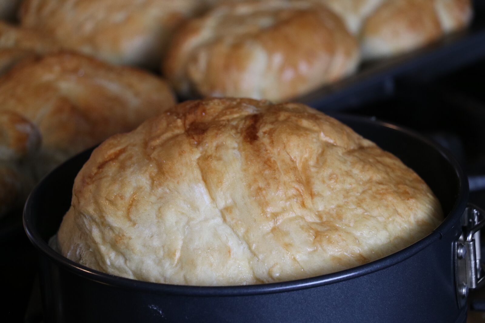 Canon EF-S 18-135mm F3.5-5.6 IS USM sample photo. Food, still life, bread photography