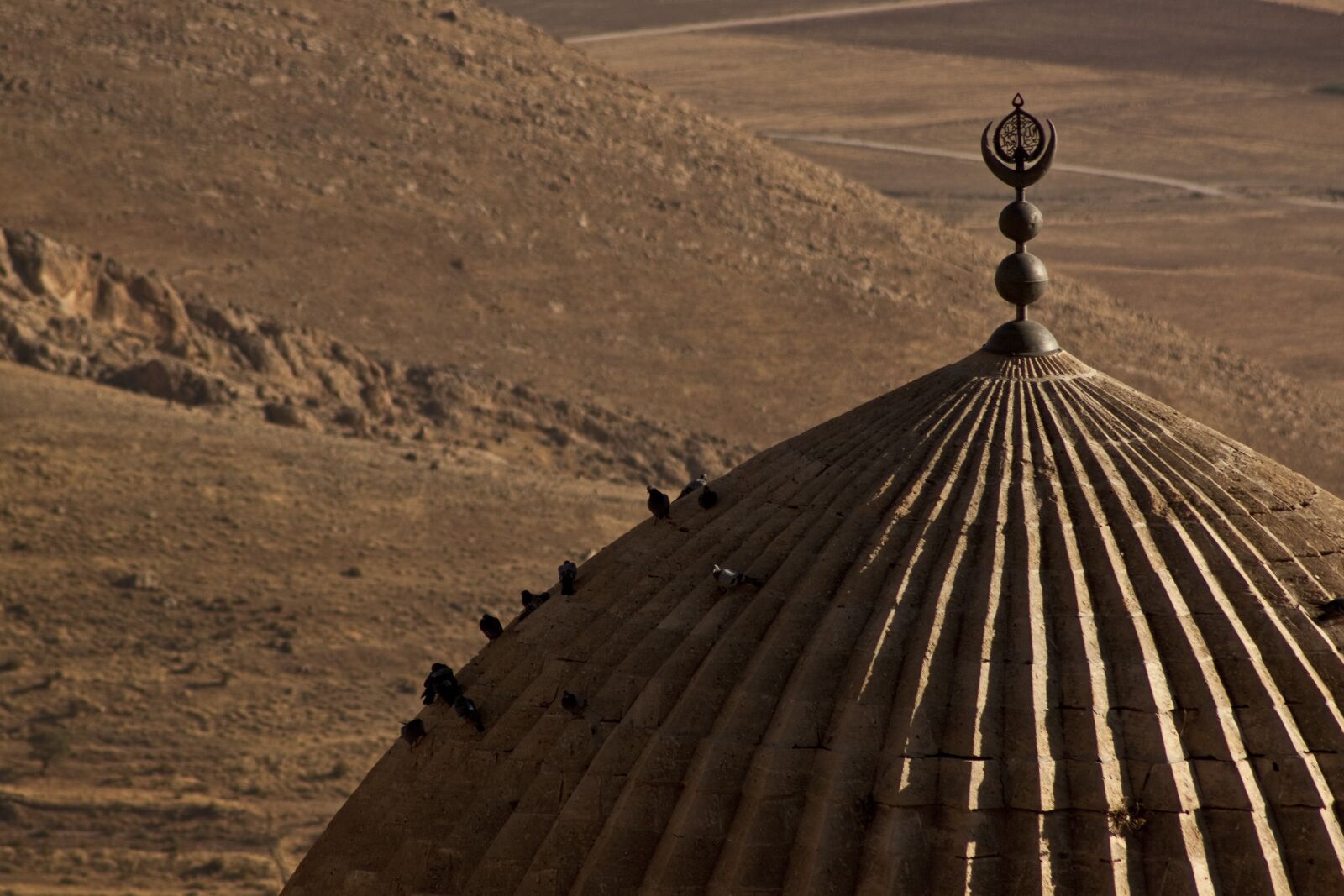 Canon EOS 500D (EOS Rebel T1i / EOS Kiss X3) sample photo. Dome, cami, mardin photography